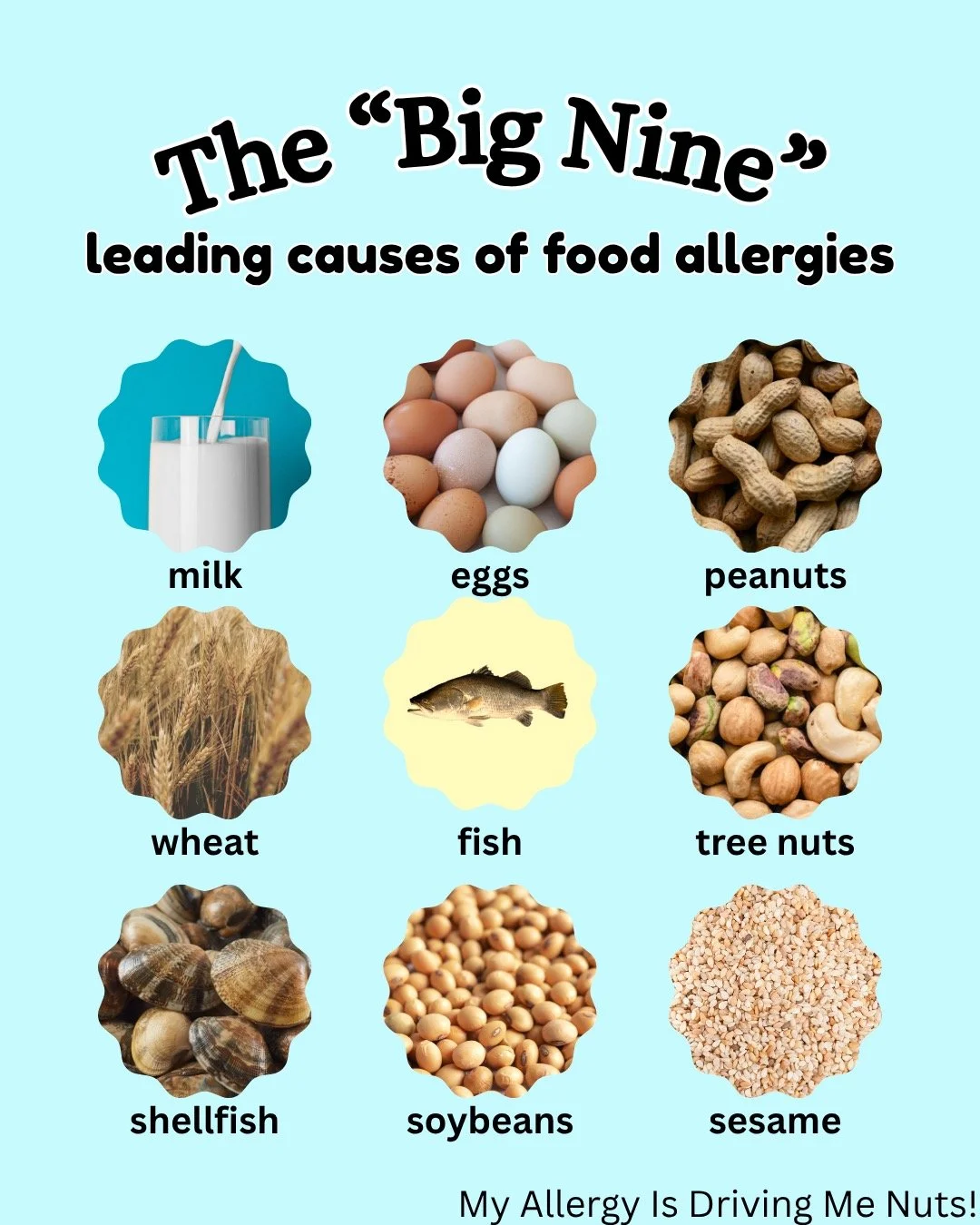 The "Big Nine" leading causes of food allergies! 
Be sure to share this important information! 

*USDA FSIS research used
#myallergyisdrivingmenuts #foodallergyawareness #foodallergy #foodallergies #nutallergy #foodallergylife #nutallergyaw