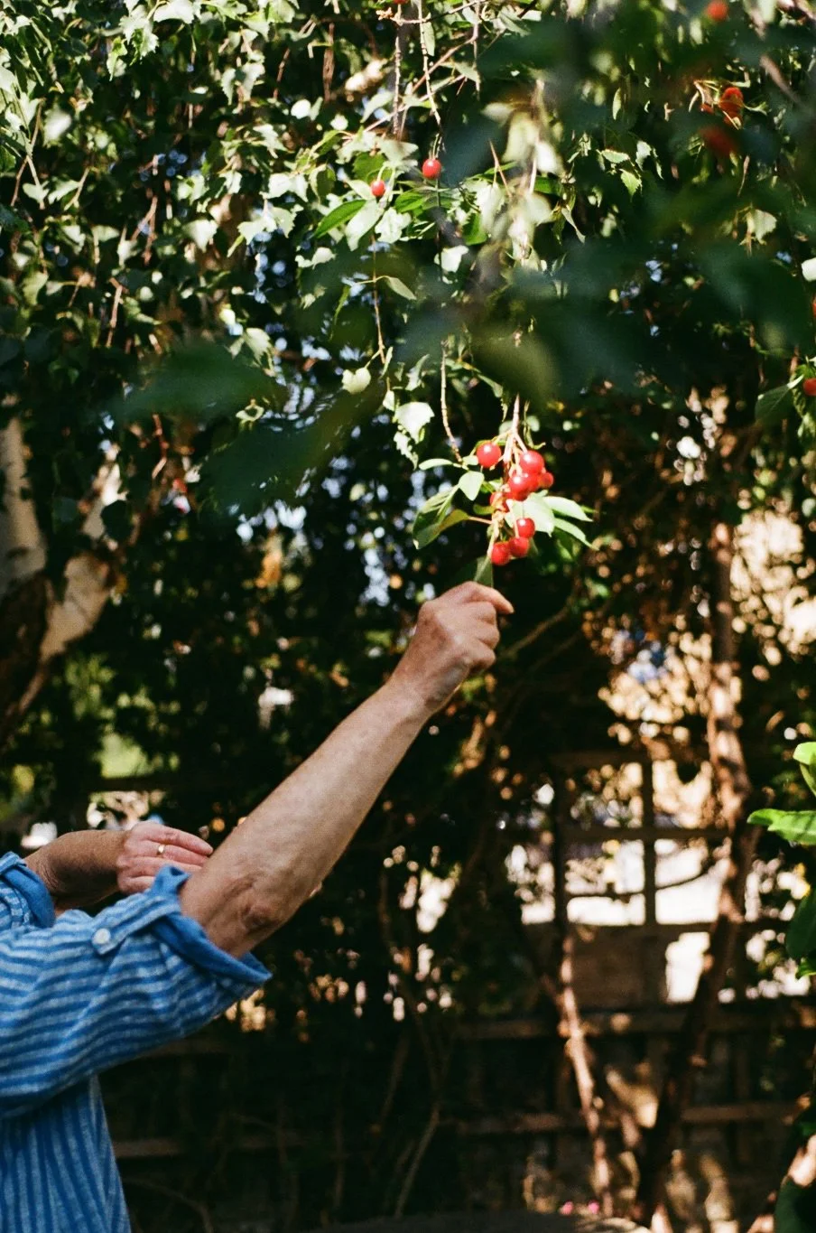 The Path of the Eagle: Bajardo, Italy - Standard Package (shared room) DEPOSIT