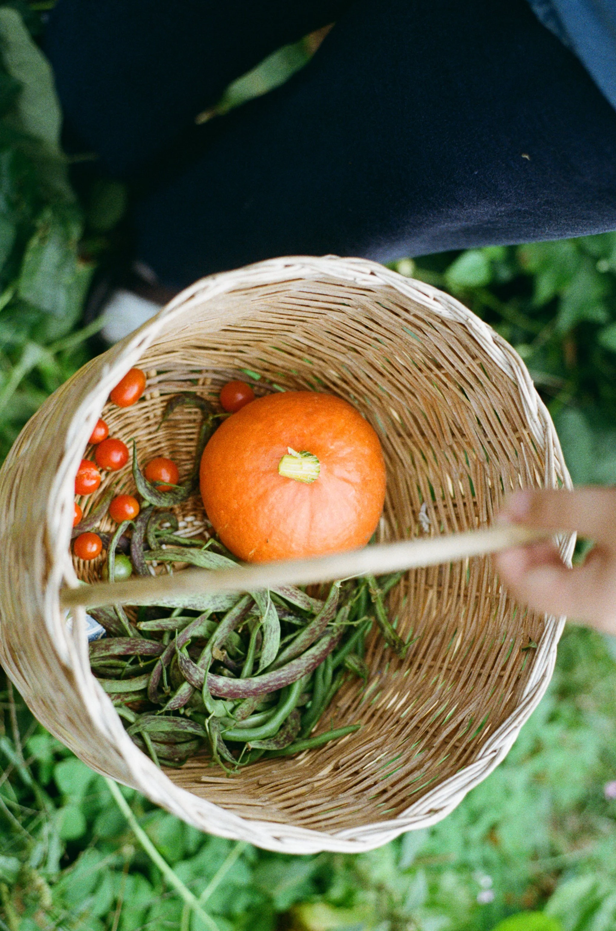 The Path of the Eagle: Bajardo, Italy - Premium Package (private room) DEPOSIT