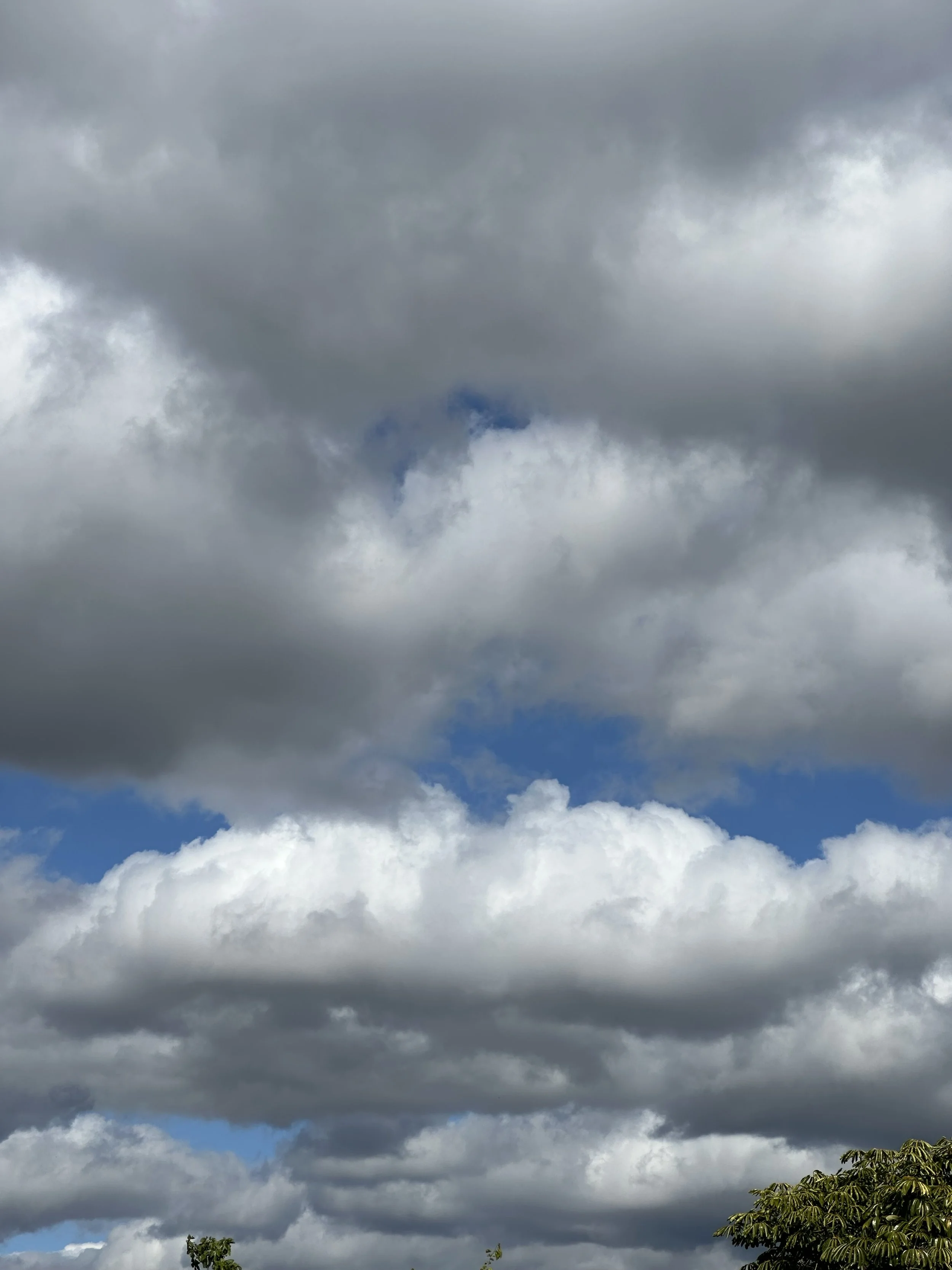 Finding my true north