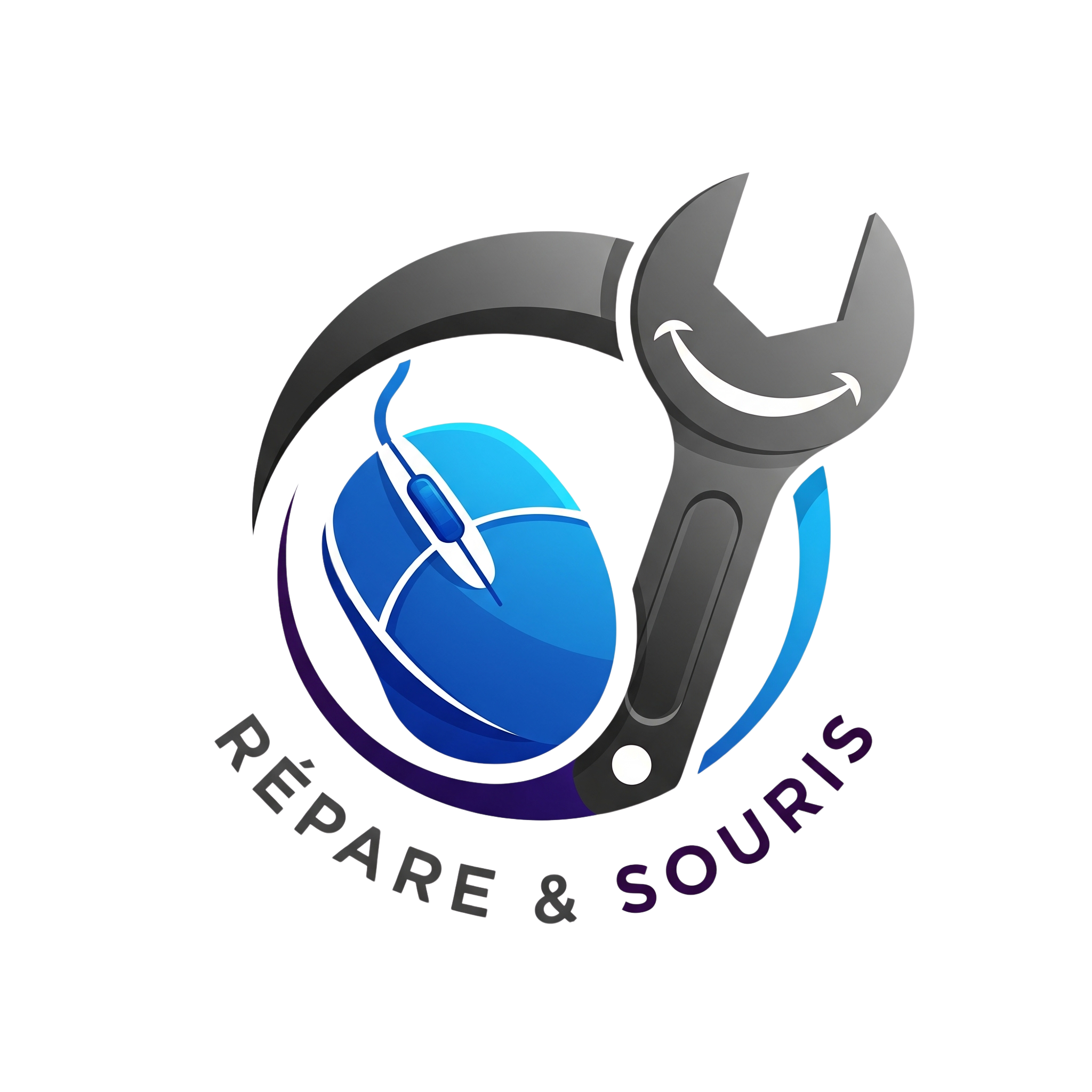 Logo contenant un ordinateur et une souris entourés d'une clé à molette, avec le texte 'Repair & Sources' en dessous.