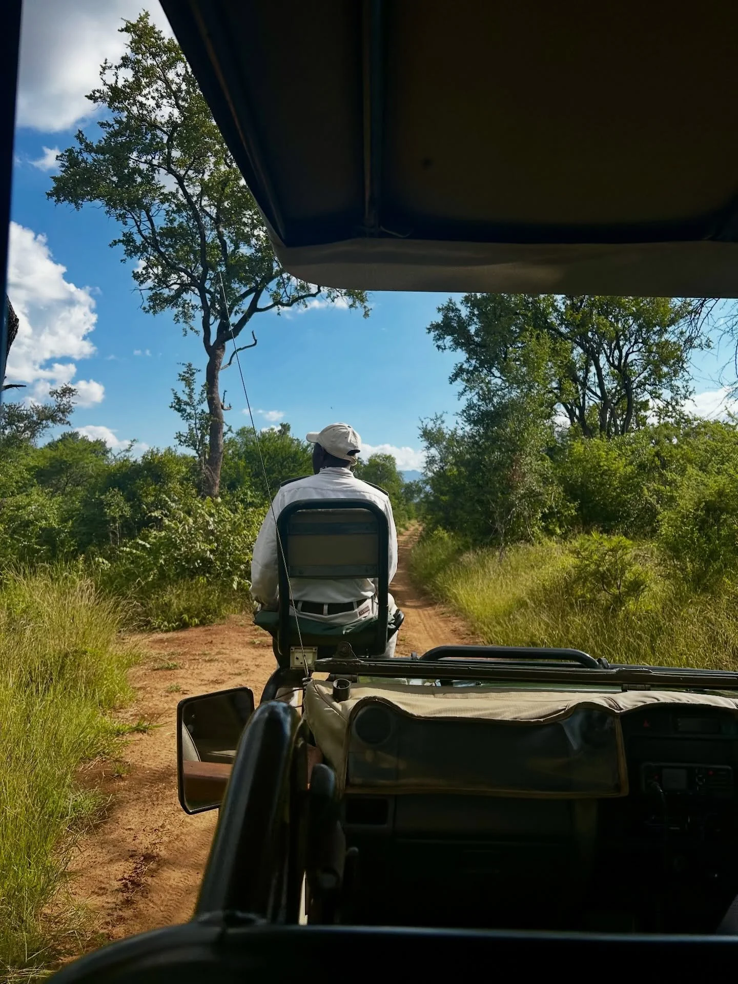 Fresh off the plane from an unforgettable safari in South Africa and perfectly timed for Safari Week with @foratravel 🐘🌿 Nothing compares to those early morning game drives, golden savanna sunsets, and the magic of seeing wildlife in its natural ha