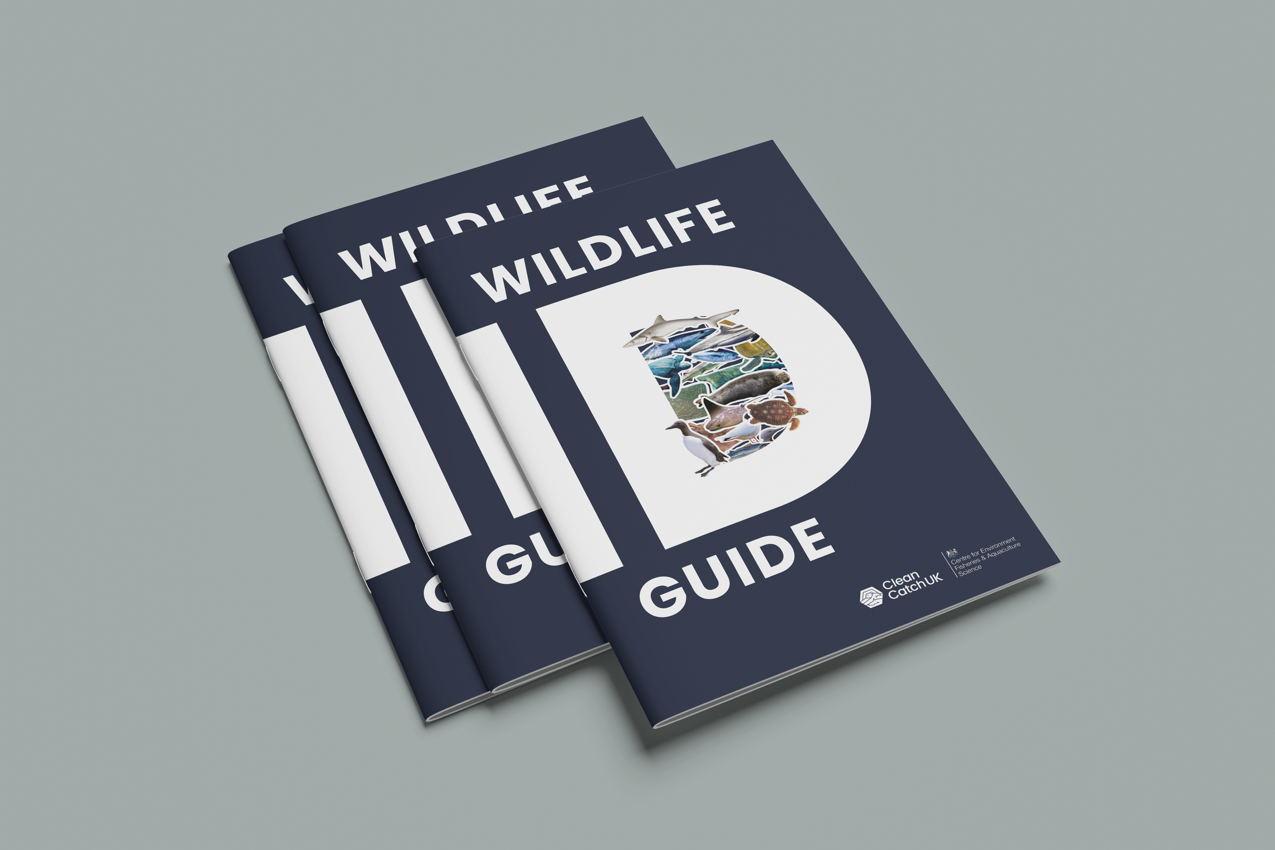 CCUK guide stack.png