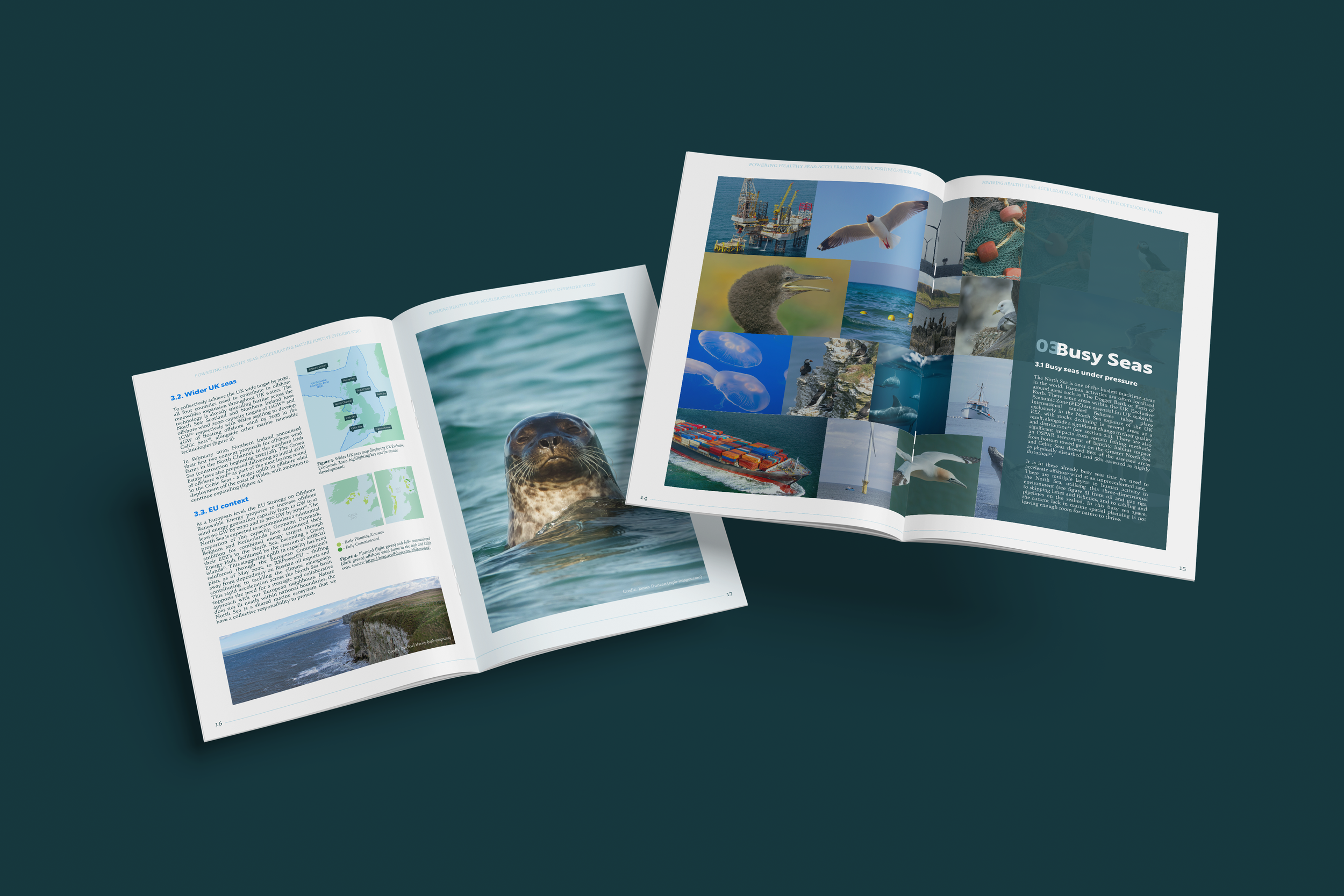 RSPB report_.png