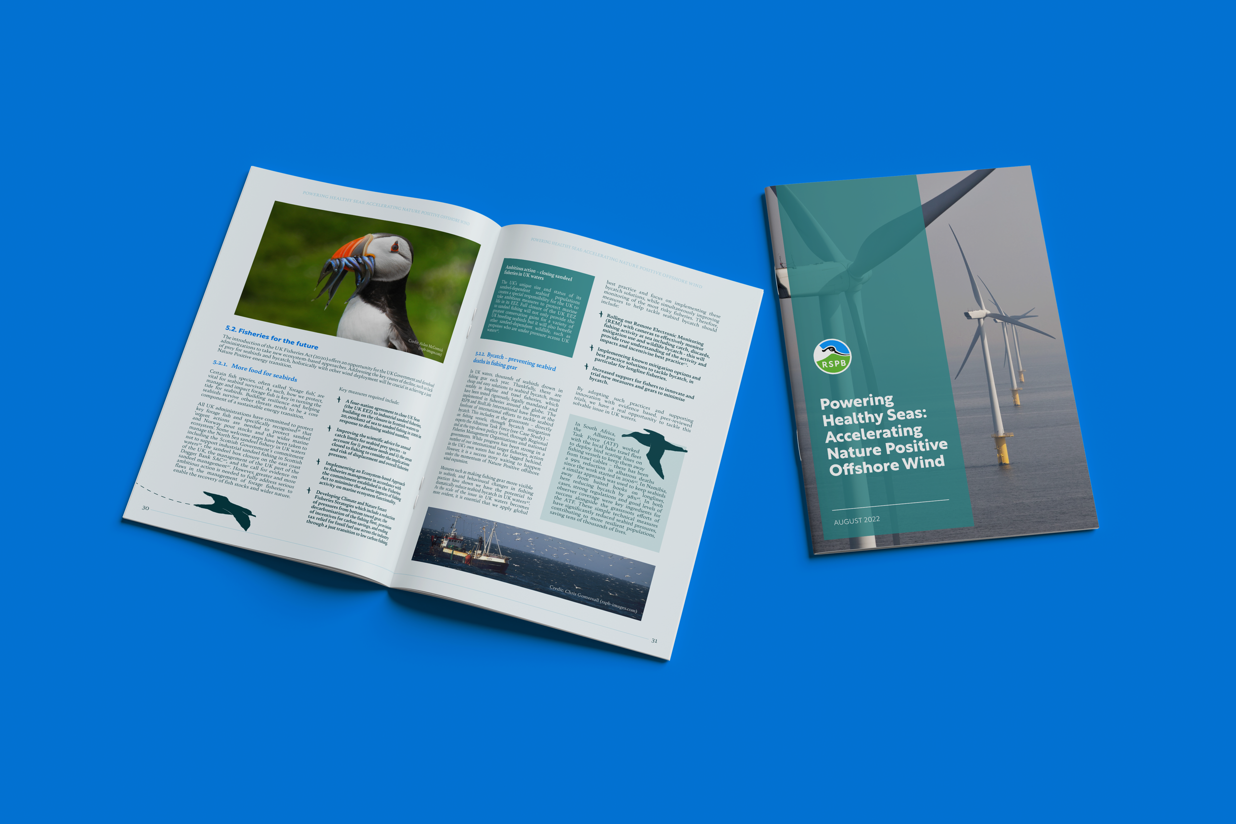 RSPB Report Front_bright blue.png