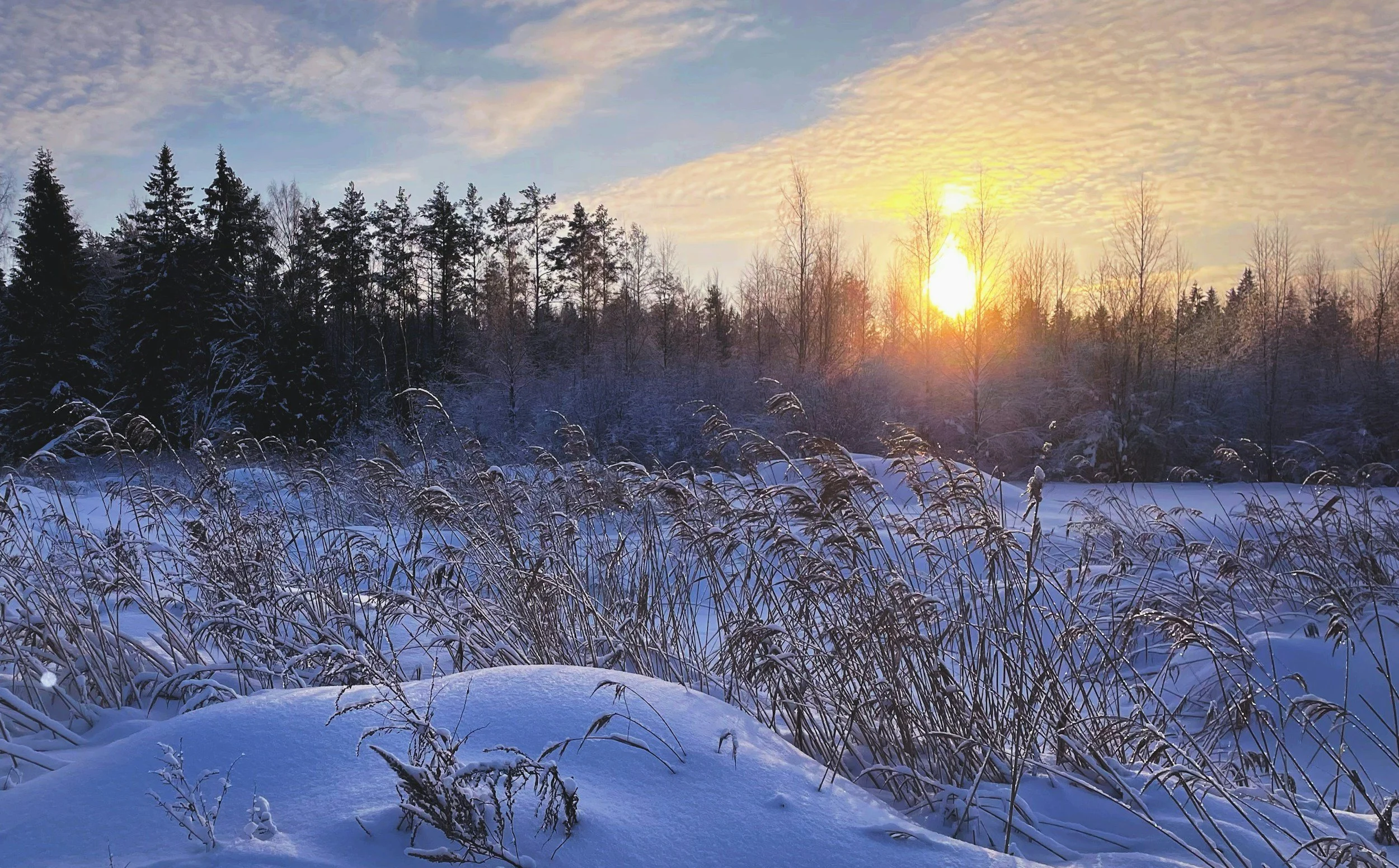 How to Navigate Grief During the Holidays: A Gentle Guide for Tender Hearts