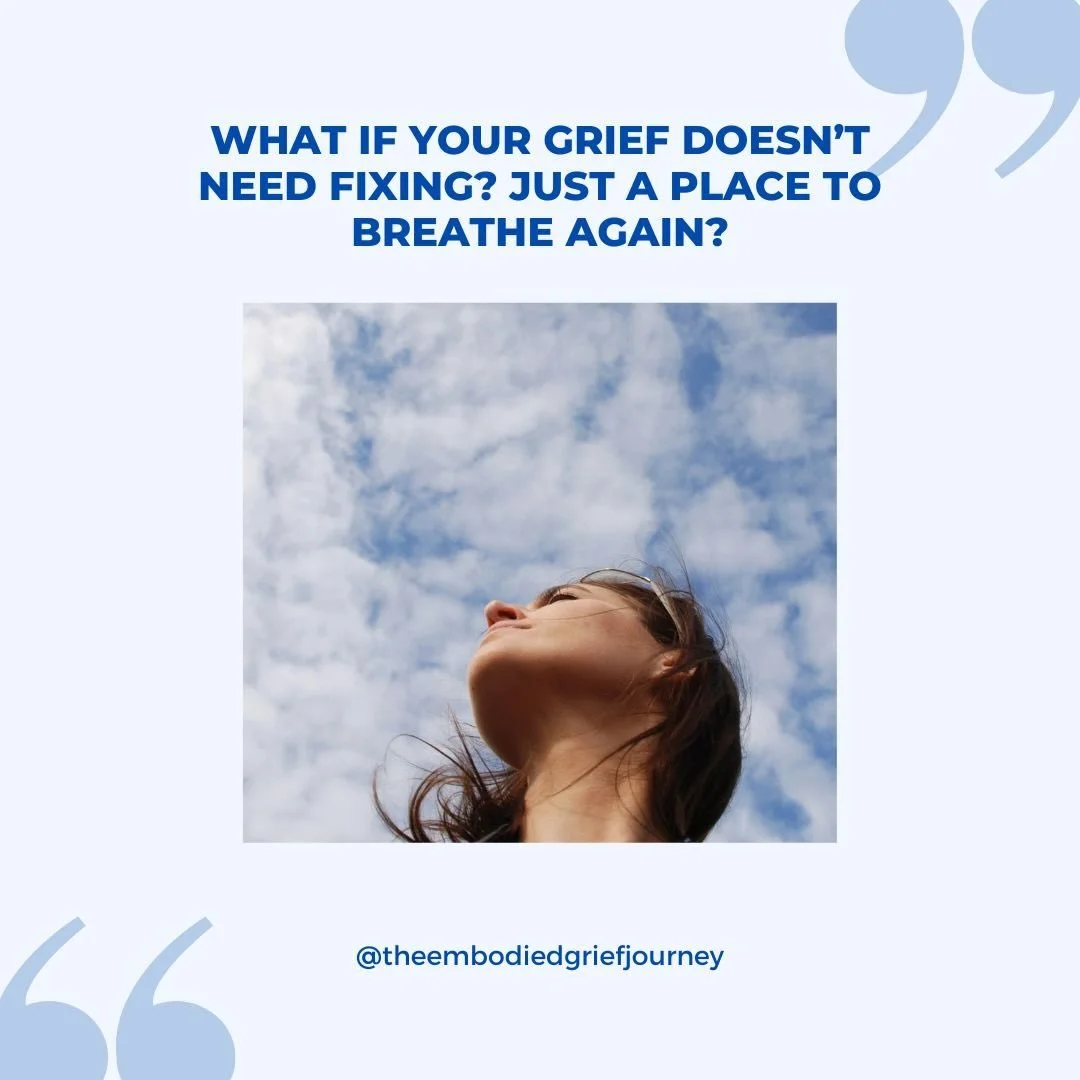 What if your grief doesn&rsquo;t need fixing &mdash; only a place to breathe again?

Some stories don&rsquo;t arrive loudly. They unfold the way soft morning light slips across a room.

Anna came to our sessions carrying a quiet heaviness &mdash; tir