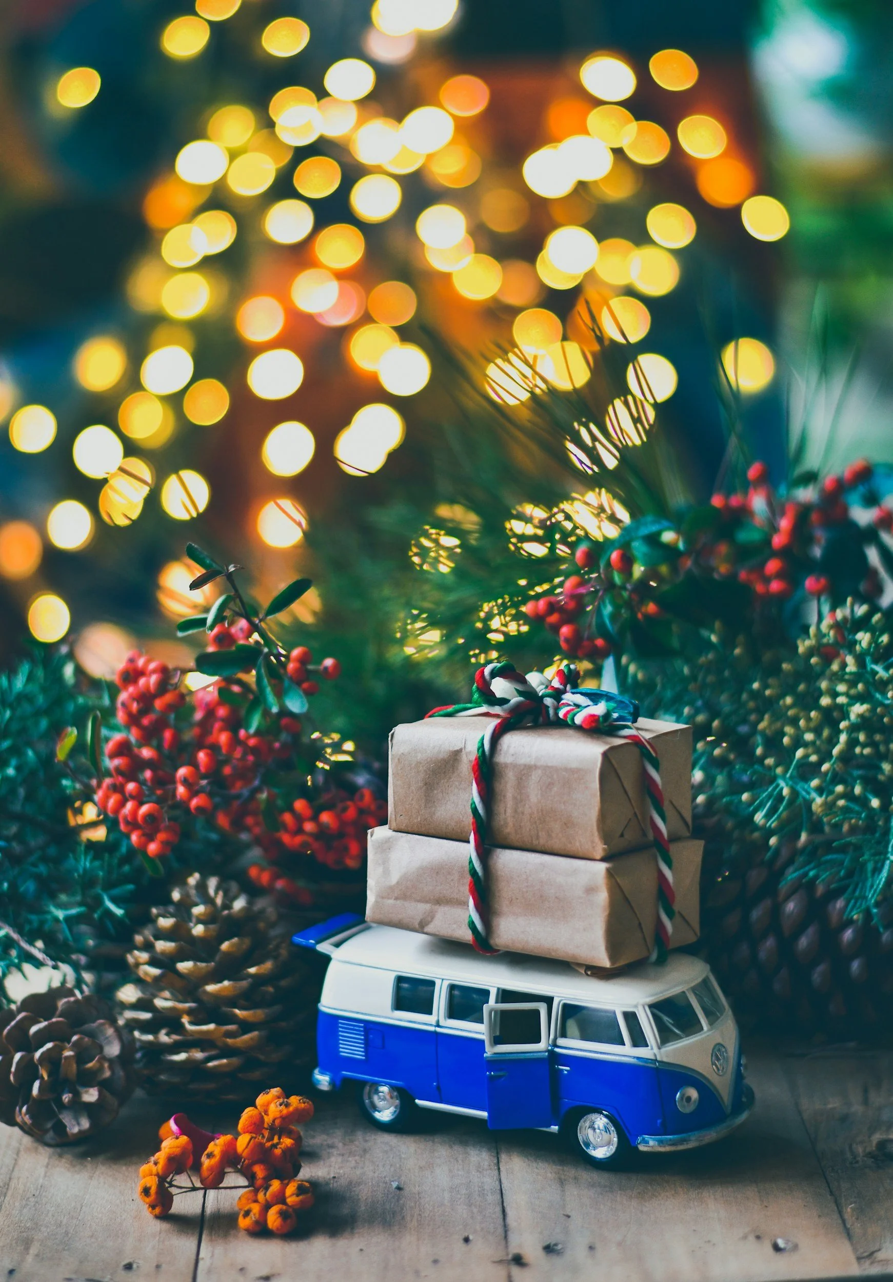 Recognizing and Managing Holiday Loneliness