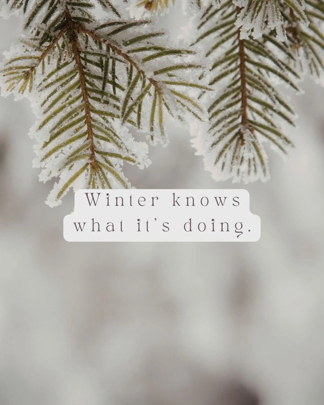 January isn&rsquo;t a reset.
It&rsquo;s a listening season.

The world may be pushing for goals and momentum,
but grief asks for something different.

It asks:
What feels tender?
What feels tired?
What needs care &mdash; not correction?

This isn&rsq