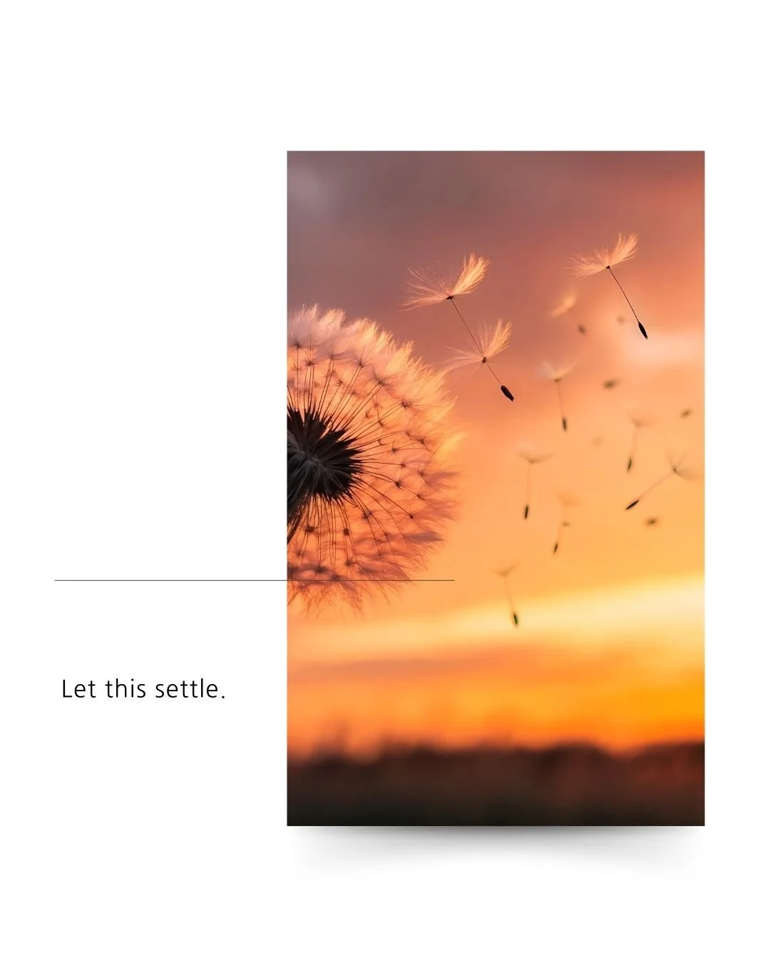 Before the week turns again, Friend &mdash;� pause.

Let your breath deepen.�
Let your body rest into the moment you&rsquo;re in.

Integration doesn&rsquo;t come from effort.
�It comes from allowing what&rsquo;s already shifted�to settle and take roo