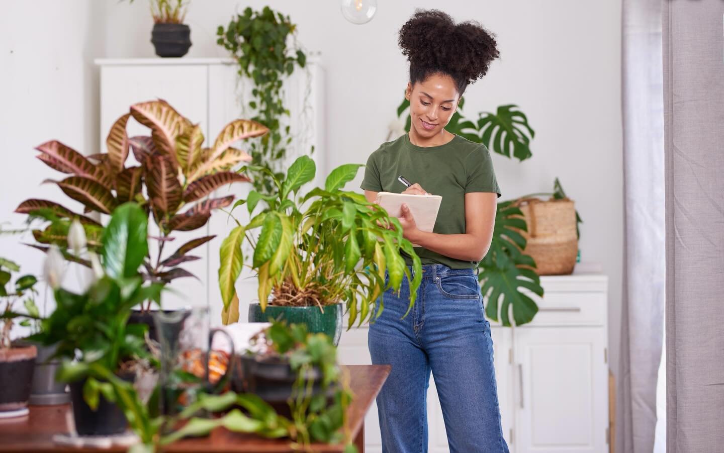 🌿✍️ Two New Classes at Portland Community College &ndash; Spring 2026 ✍️🌿

This feels surreal to write.

Two classes I&rsquo;ve created are now live in PCC&rsquo;s Spring schedule &mdash; offerings that weave together the heart of my work: grief ed