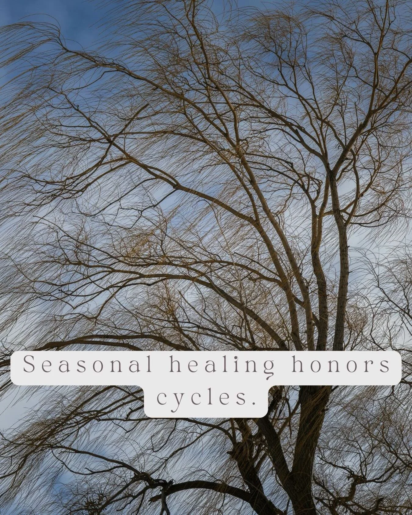 Friend, if your body feels slower than the calendar &mdash; trust it.

Seasonal healing honors cycles.

Wintering with Grief is not about moving on. It&rsquo;s about moving with.

If you need a place to land, my free Wintering with Grief workshop wil