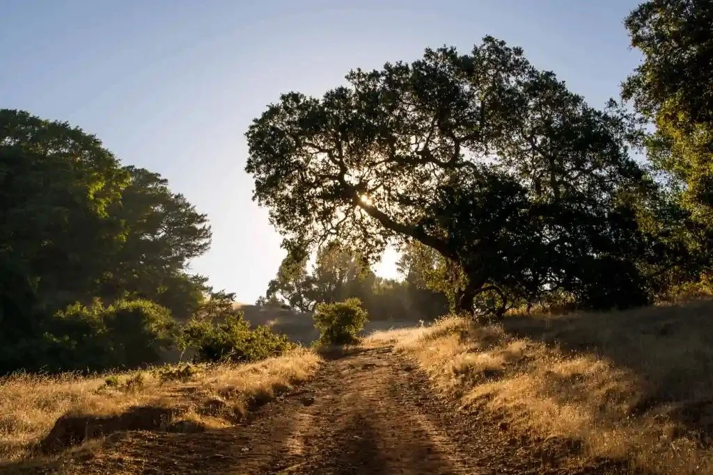 How a Coaching Intensive Can Be the Foundation for Your Best Year Yet