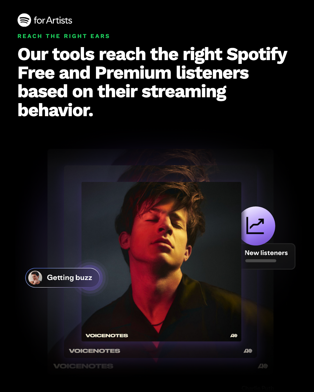 10-spotify-targeting.png
