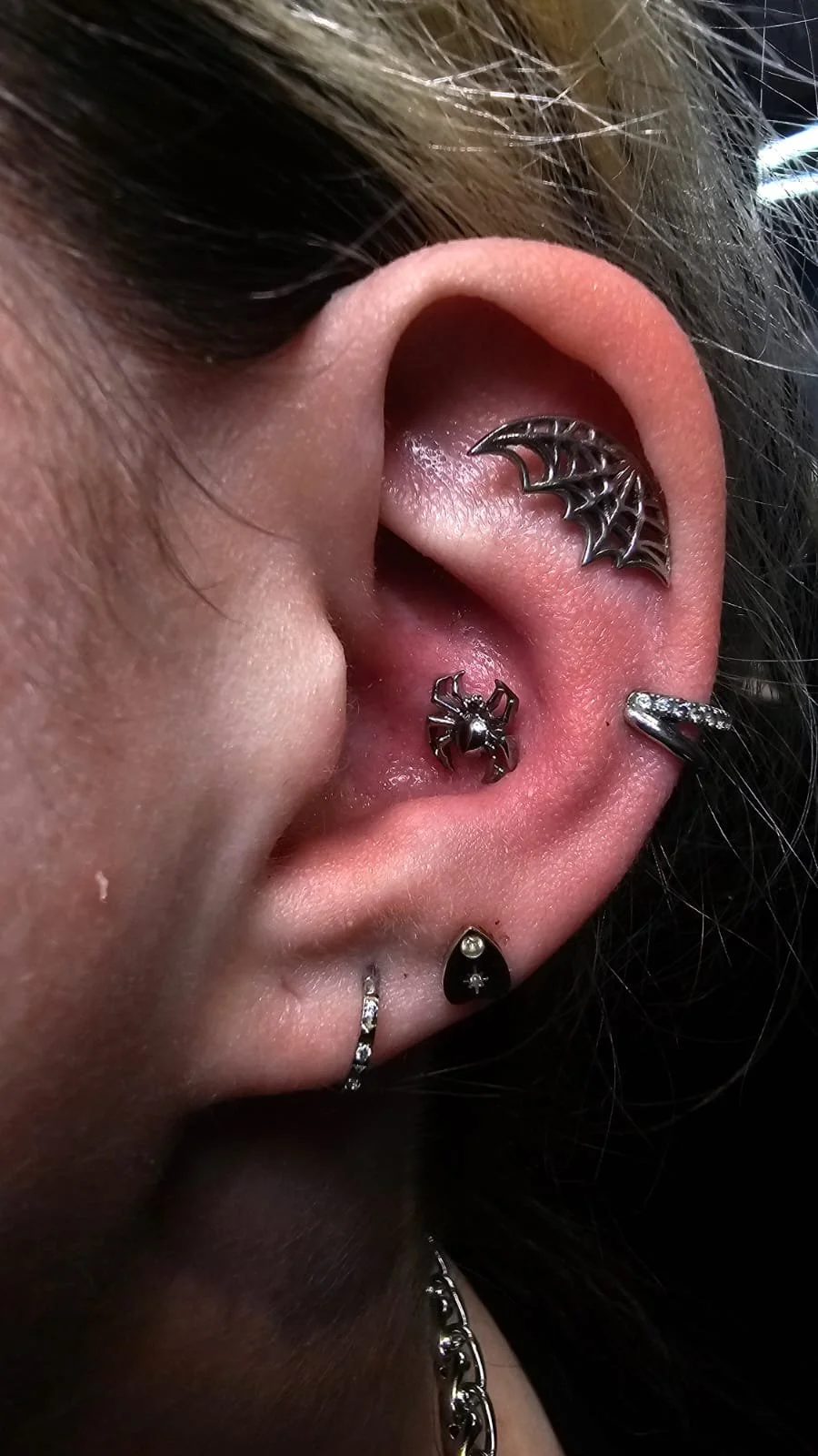 Close-up of a person's ear with multiple piercings, including a web-shaped cuff on the upper ear, a spider-shaped stud in the middle, a small hoop on the lower lobe, a black earring with a star, and a chain-link earring.
