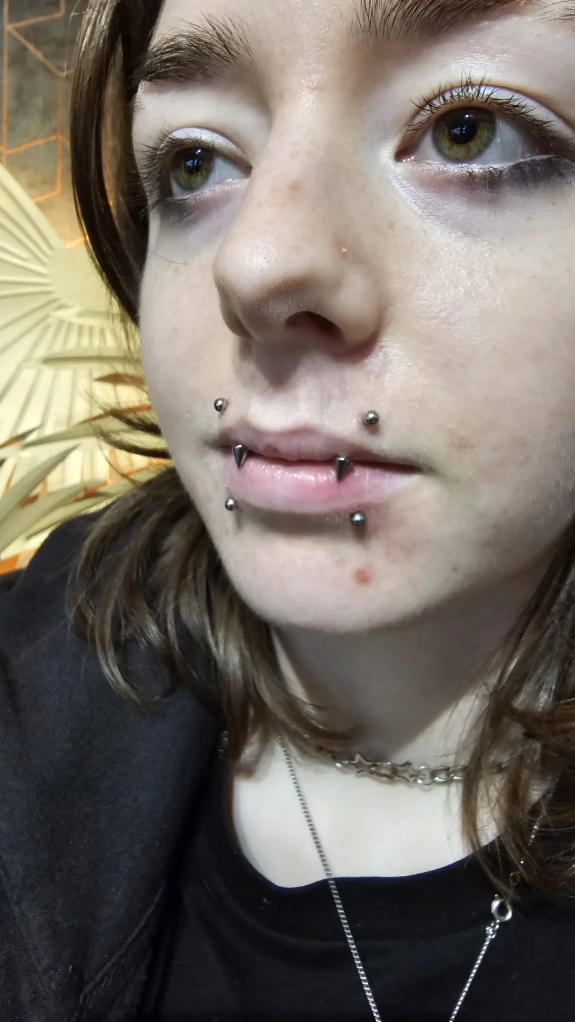 Close-up of a young woman with multiple facial piercings, piercings on the upper and lower lips, a nose piercing, and brown hair; she is wearing necklaces and a black shirt, with plants and a decorative background in the setting.