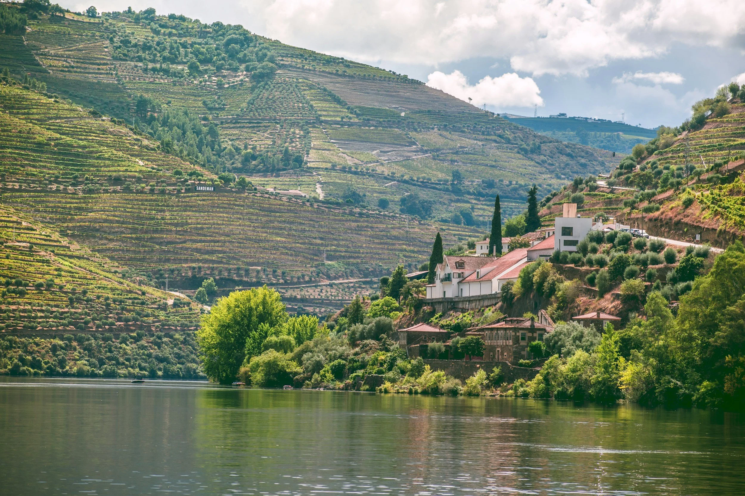 Douro River cruise through terraced vineyards in Portugal