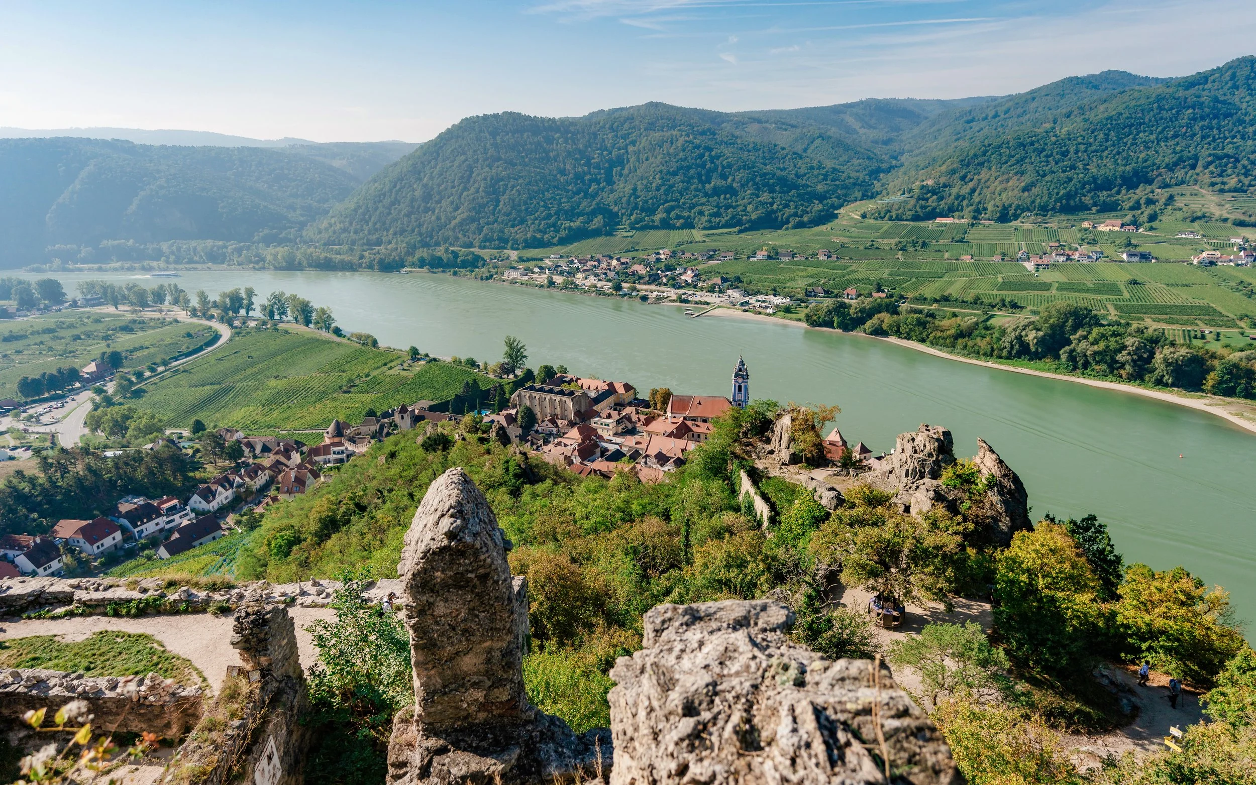 Wachau Valley vineyard