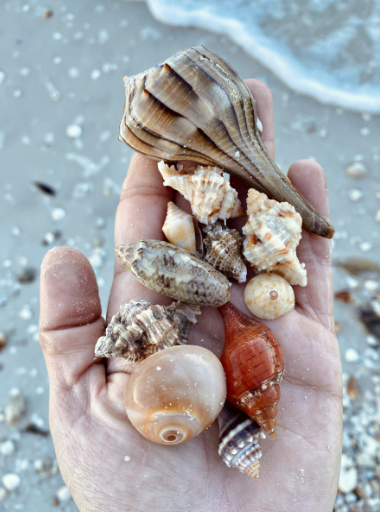 Screenshot 2026-04-12 at 2.30.15 PM.png