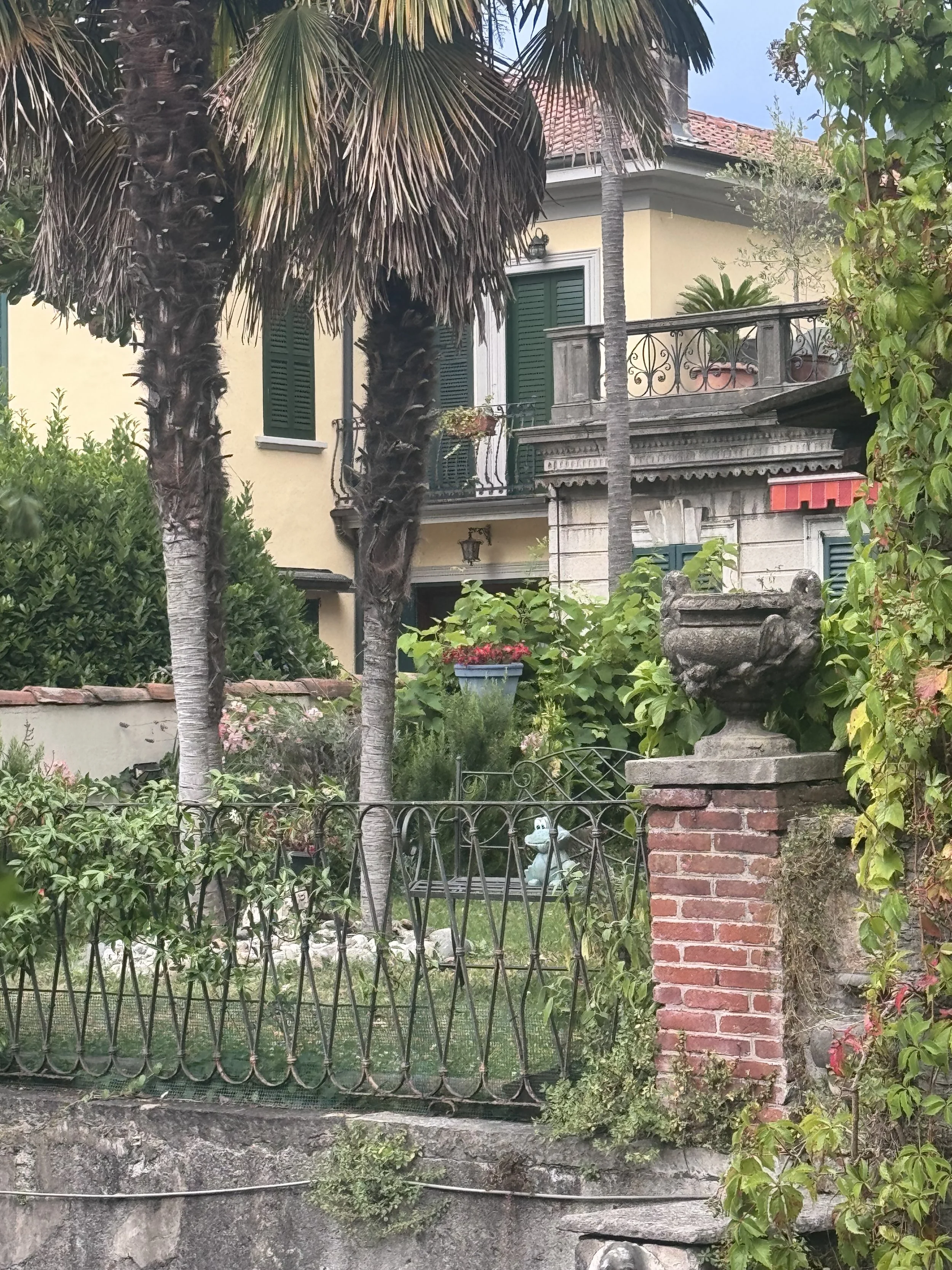 IMG_3136.jpeg
