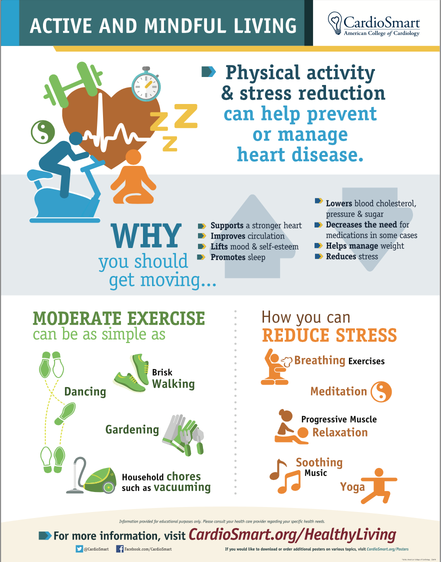 Active and Mindful Living