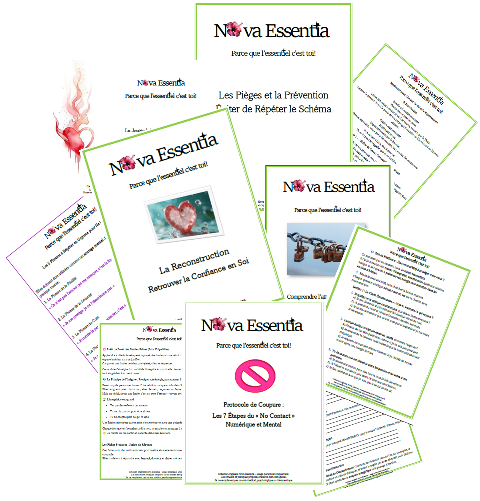 🌿 Ensemble 100% numérique - Guérison Post-Toxique