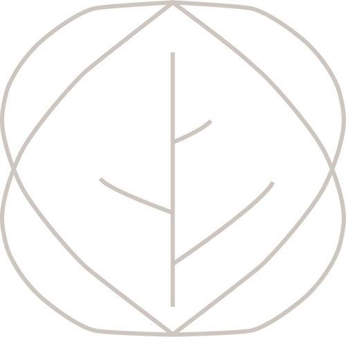 aspen insight logo with graphic design only showing two leaves linked similar to an infinity sign