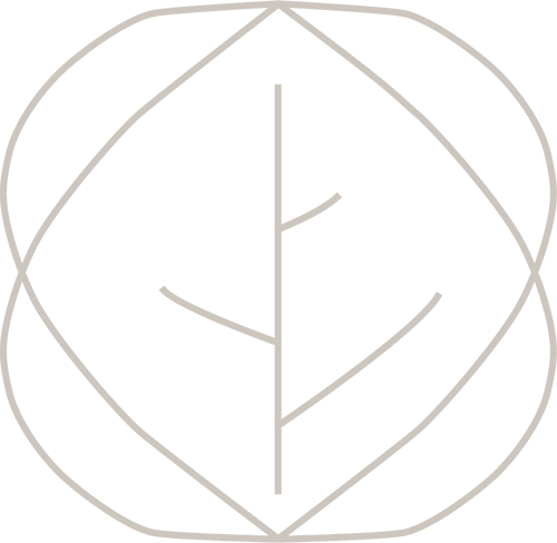 Aspen Insight Consulting