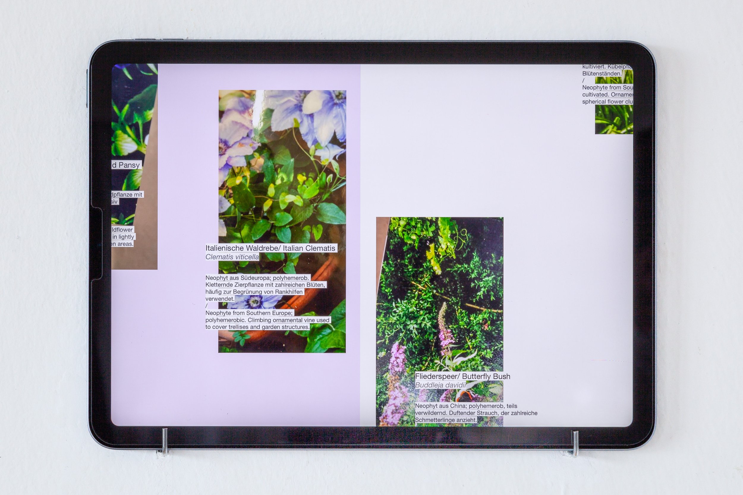 Mixed Media, various formats and media.
All works by: Nadine Lemke
All photos copyright: Flavio Palasciano