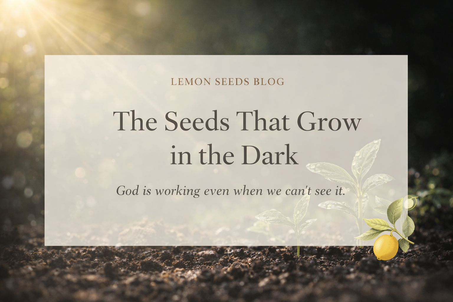 The Seeds That Grow in the Dark