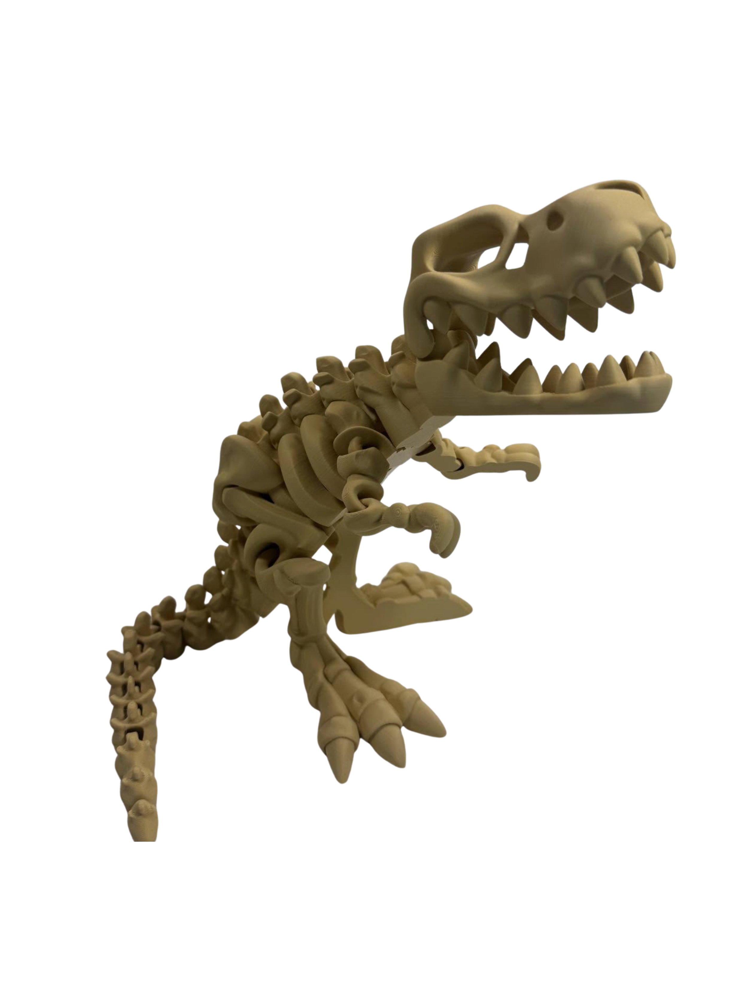 Flexi Factory Skeleton T-Rex