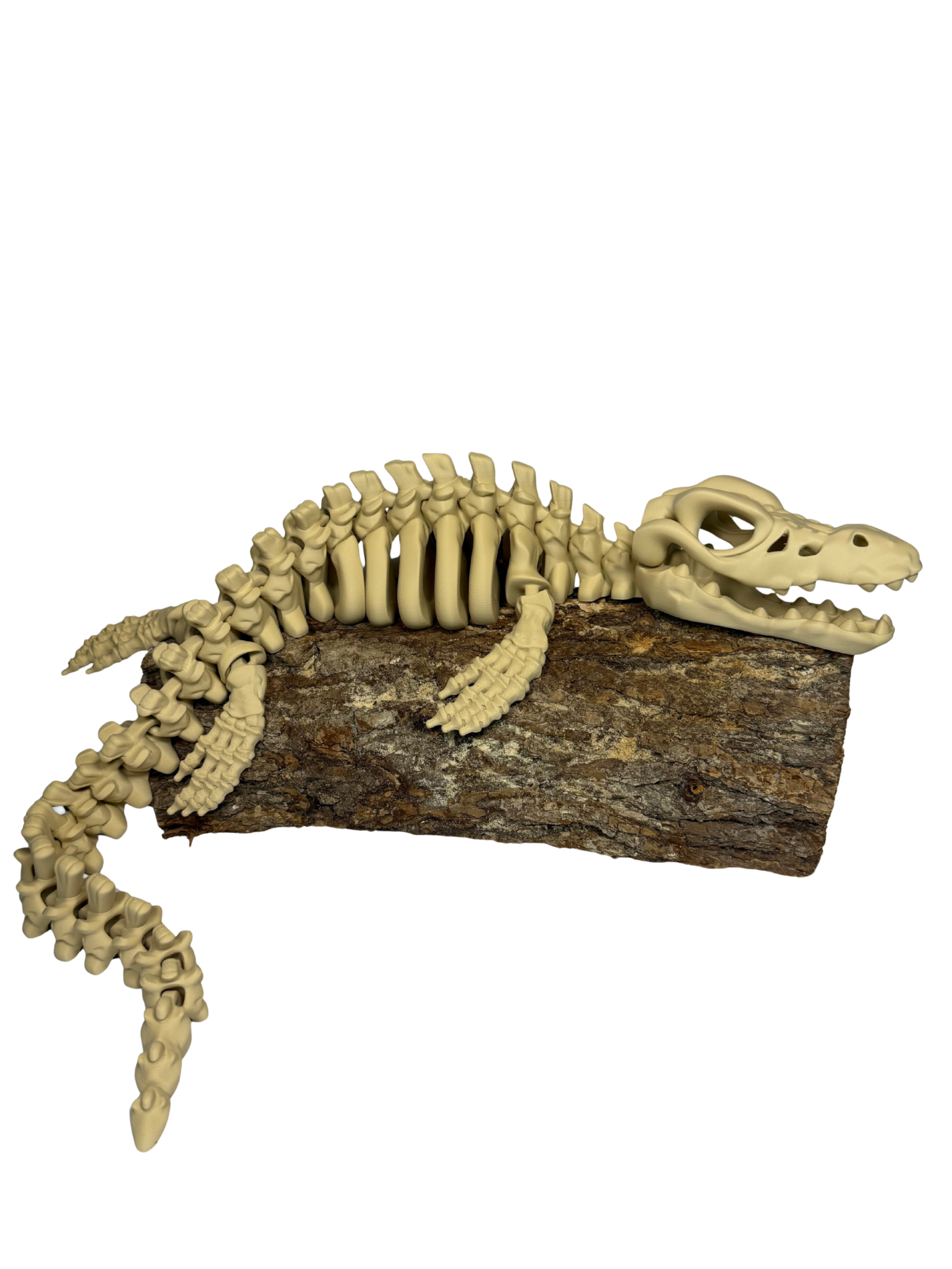 Flexi Factory Skeleton Mosasaurus