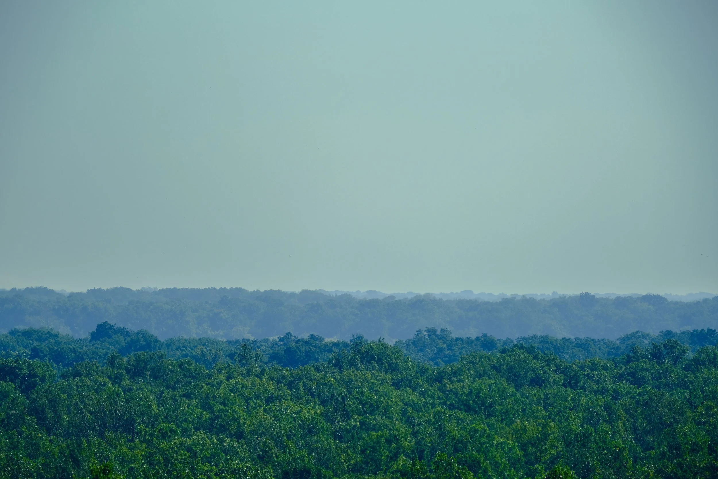 Crowley's Ridge - Marianna, Arkansas