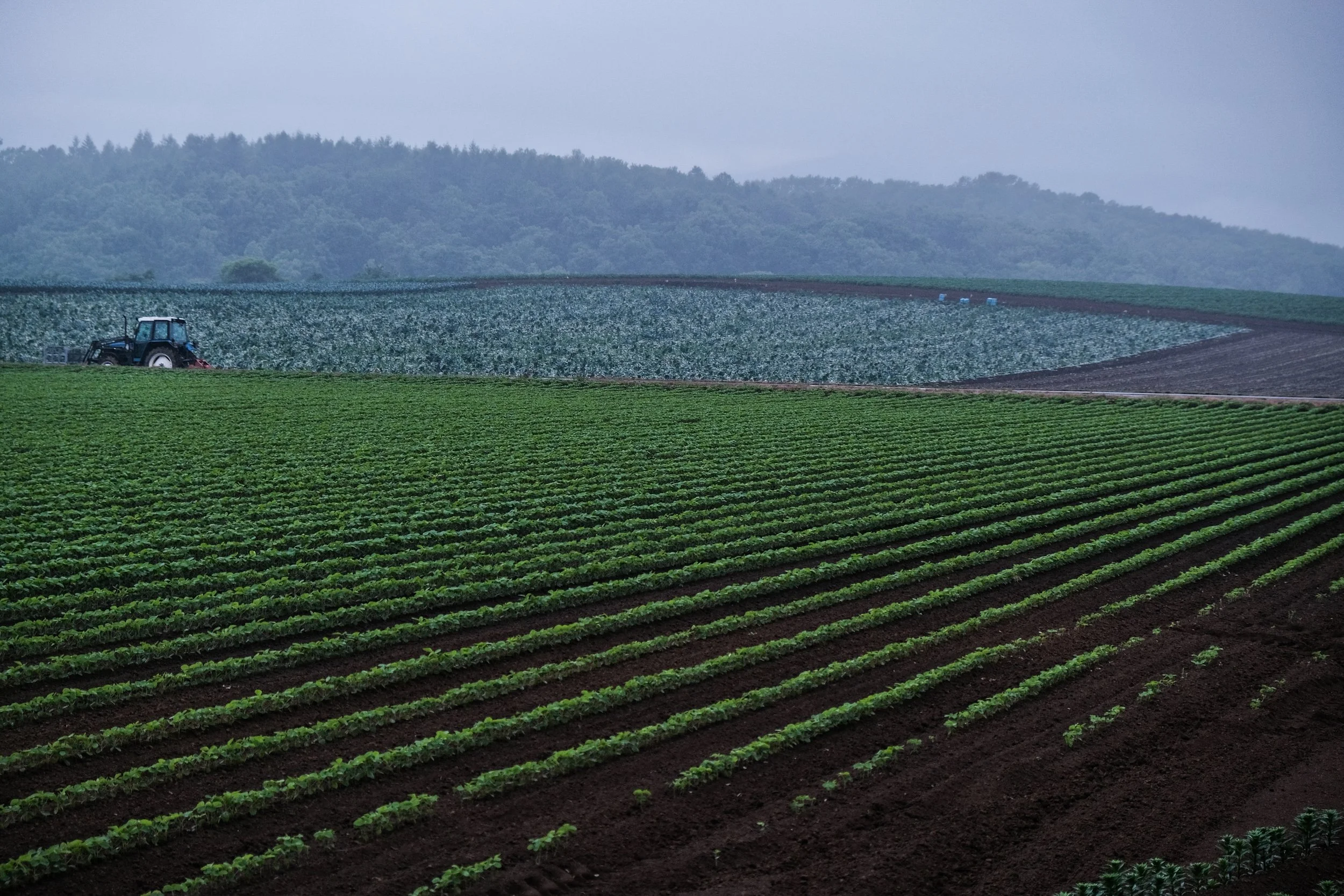 Farm Outside Makkari - Makkari, Japan