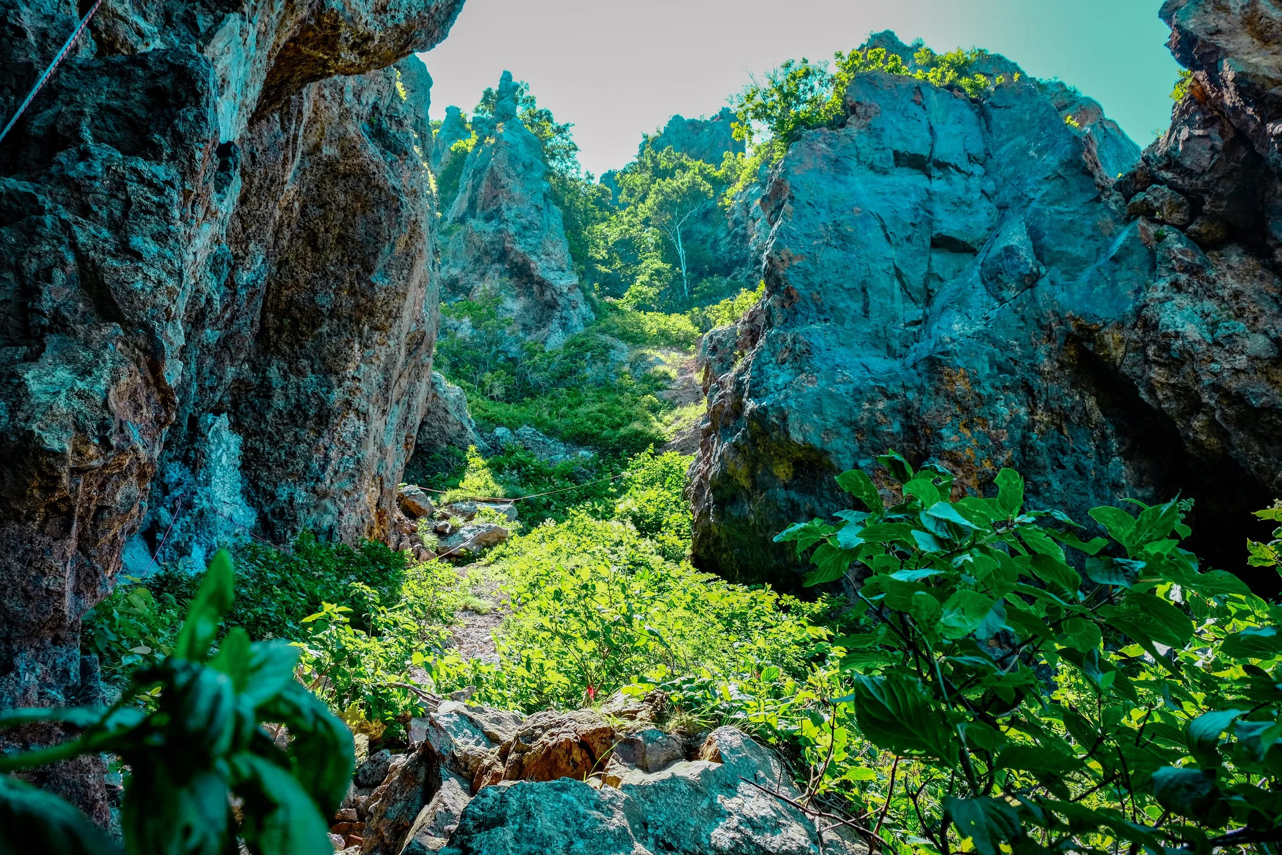 The Climb to Hakuryu Honin - Otaru, Japan