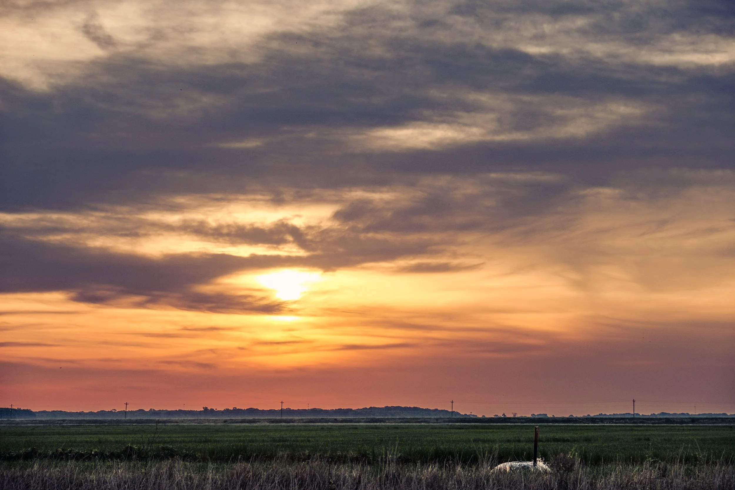 Field at Sunset - Lonoke County, Arkansas