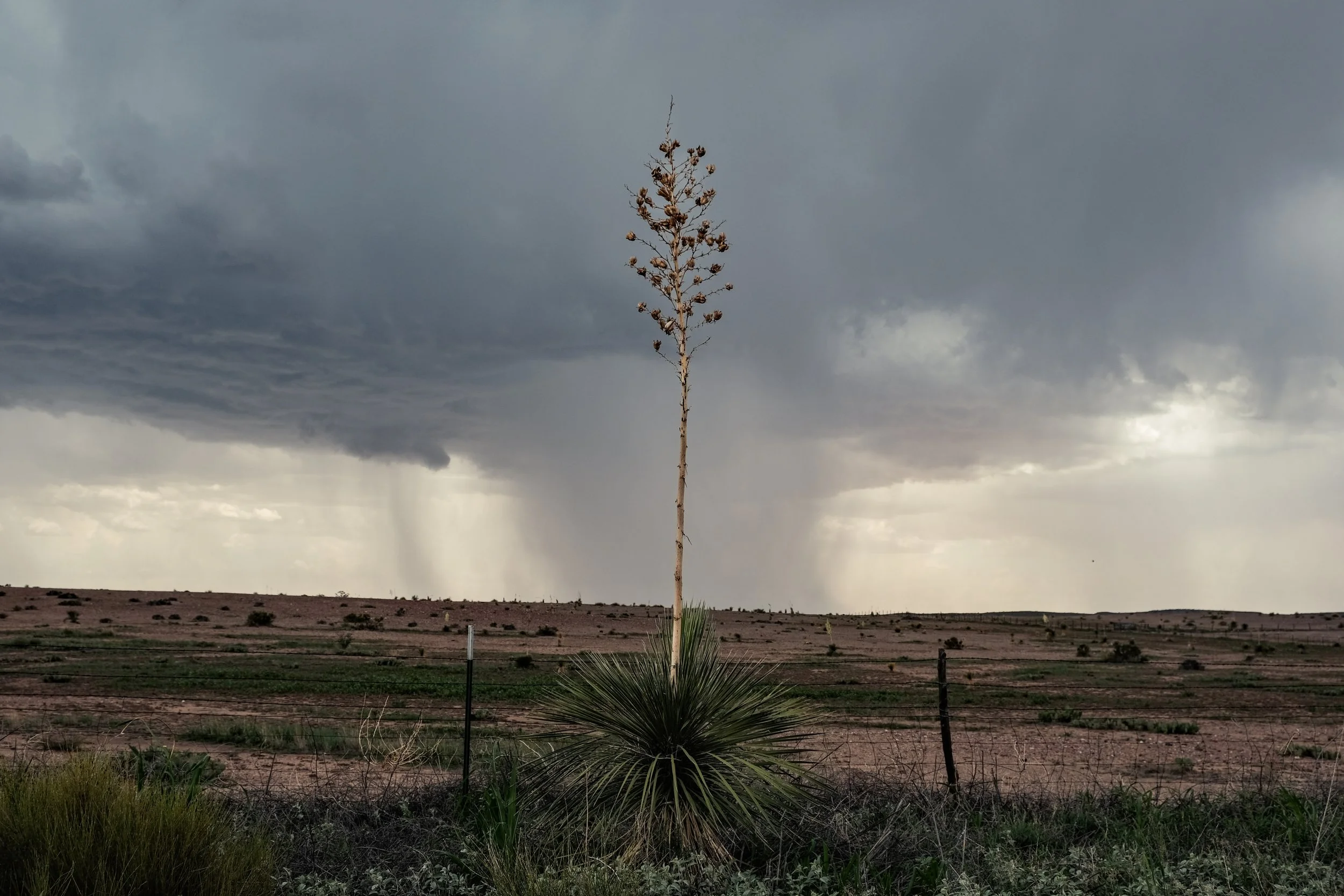 Around Four Corners in Marfa - Marfa, Texas