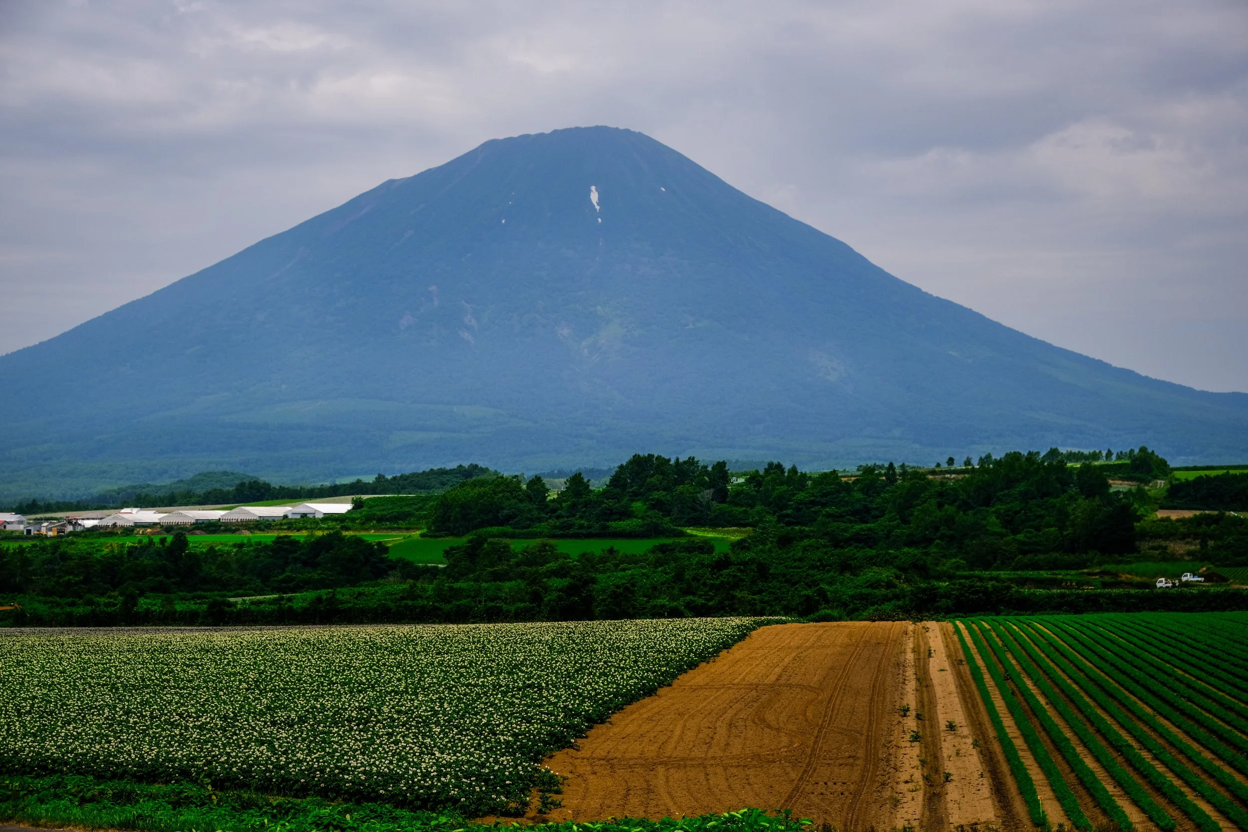 Mt. Yotei Towers Above - Hirafu, Japan