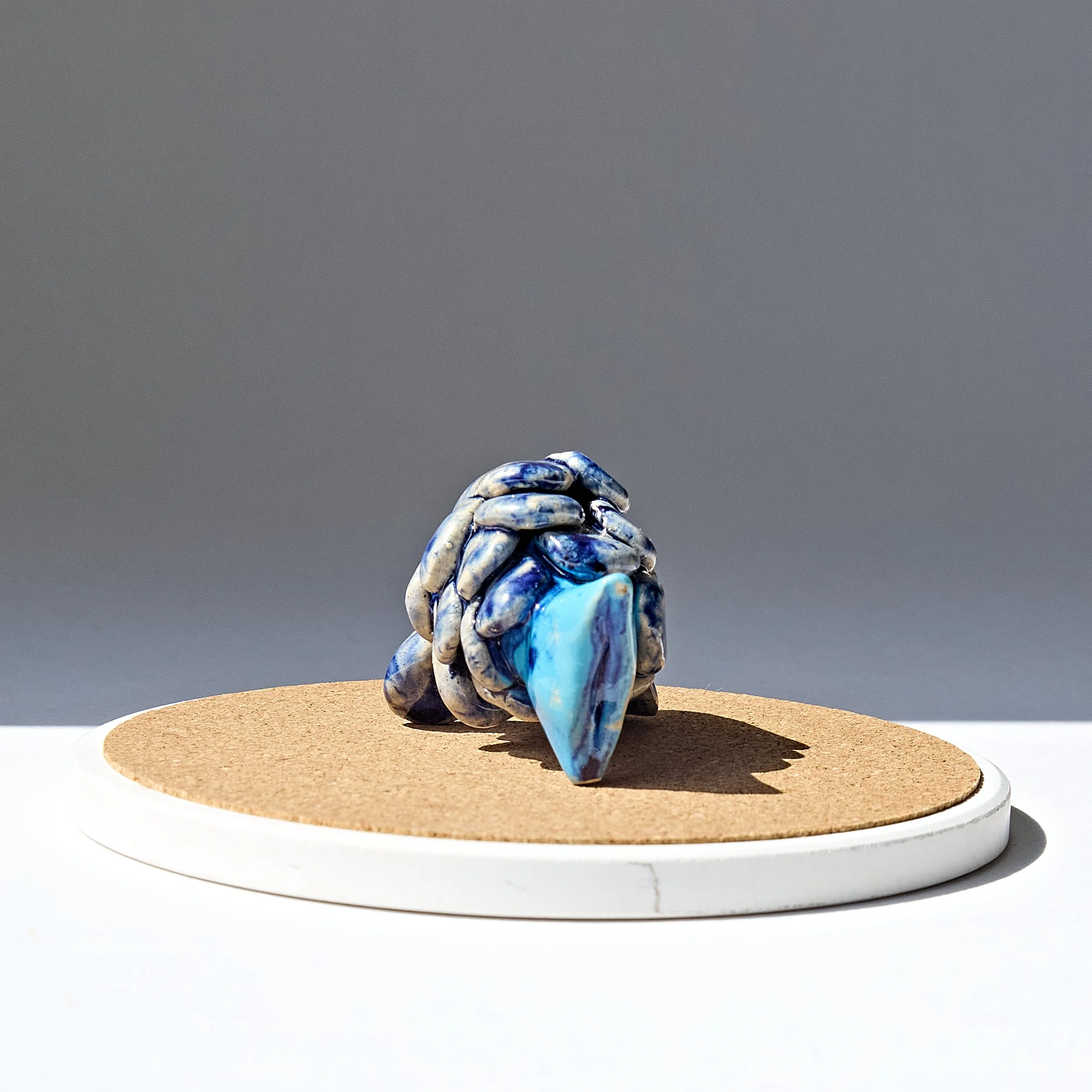 2026_clay0020betafish2.jpg