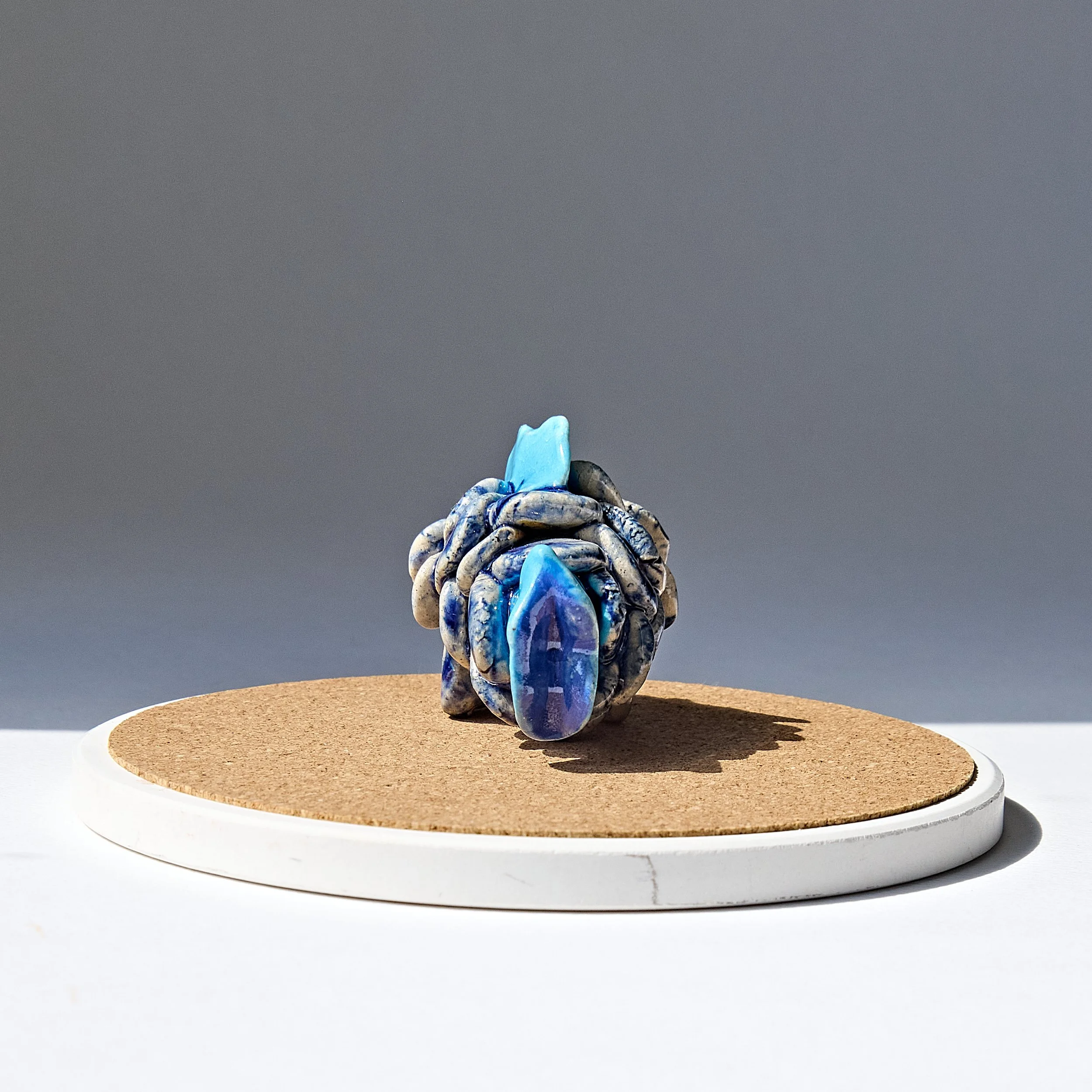2026_clay0036betafish1.jpg