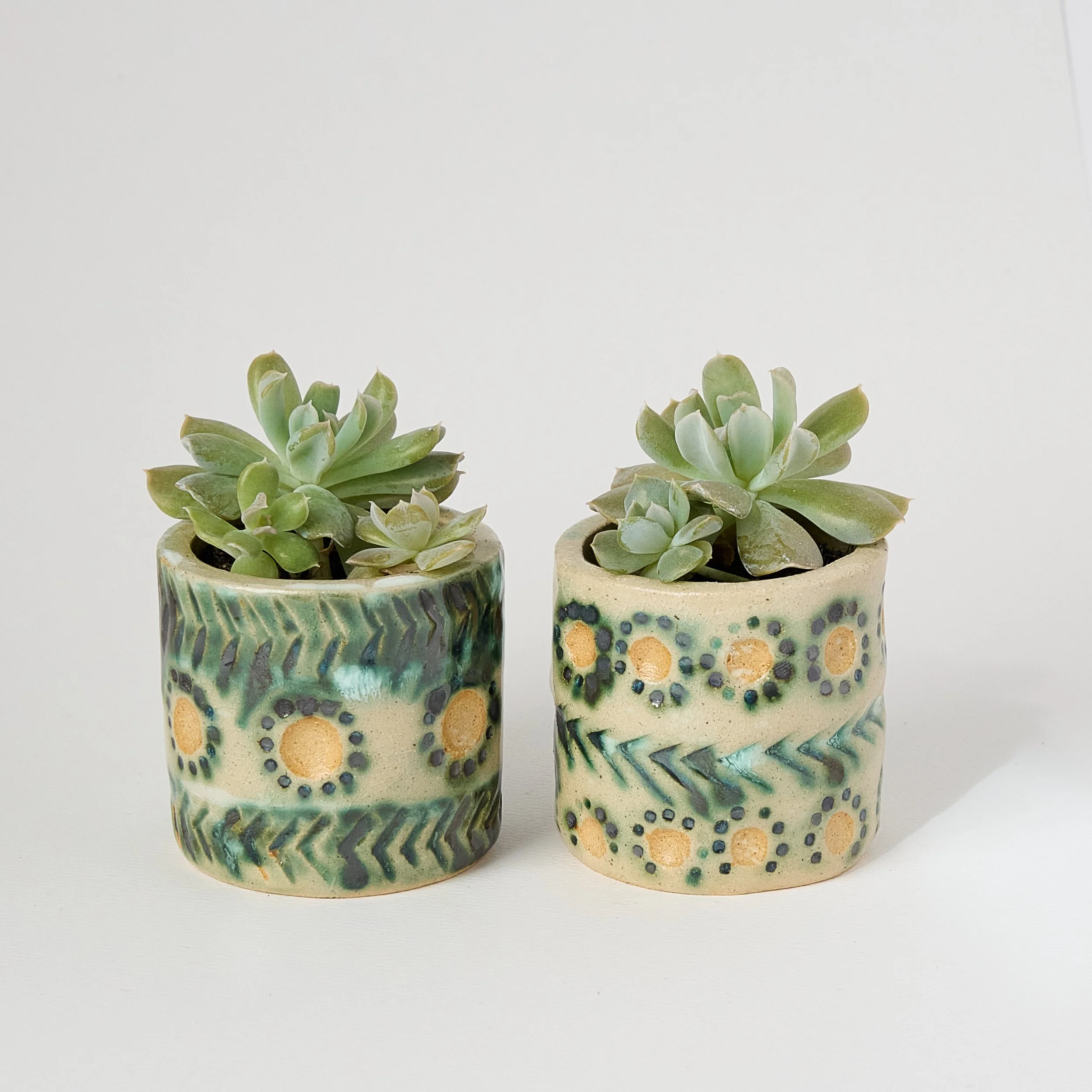 Mini Pot with Succulent