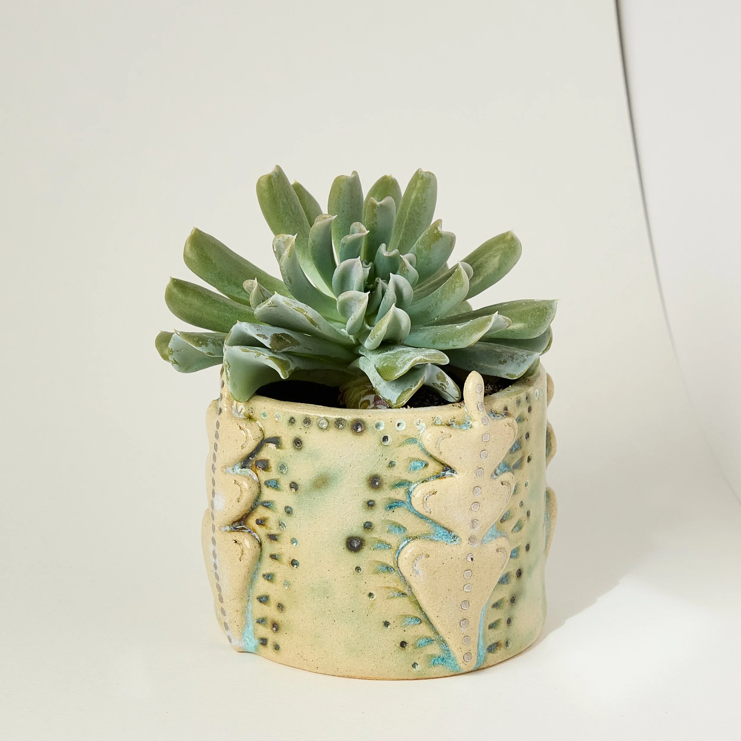 Small Pot with Succulent