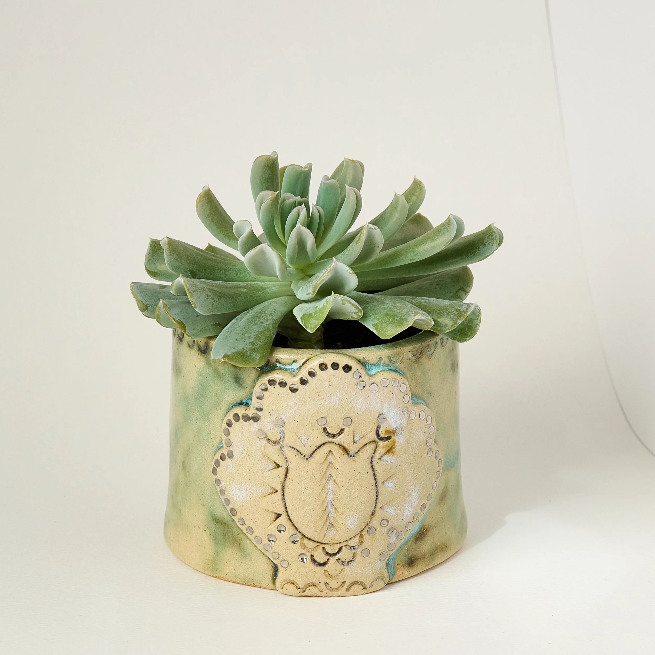 Small Pot with Succulent