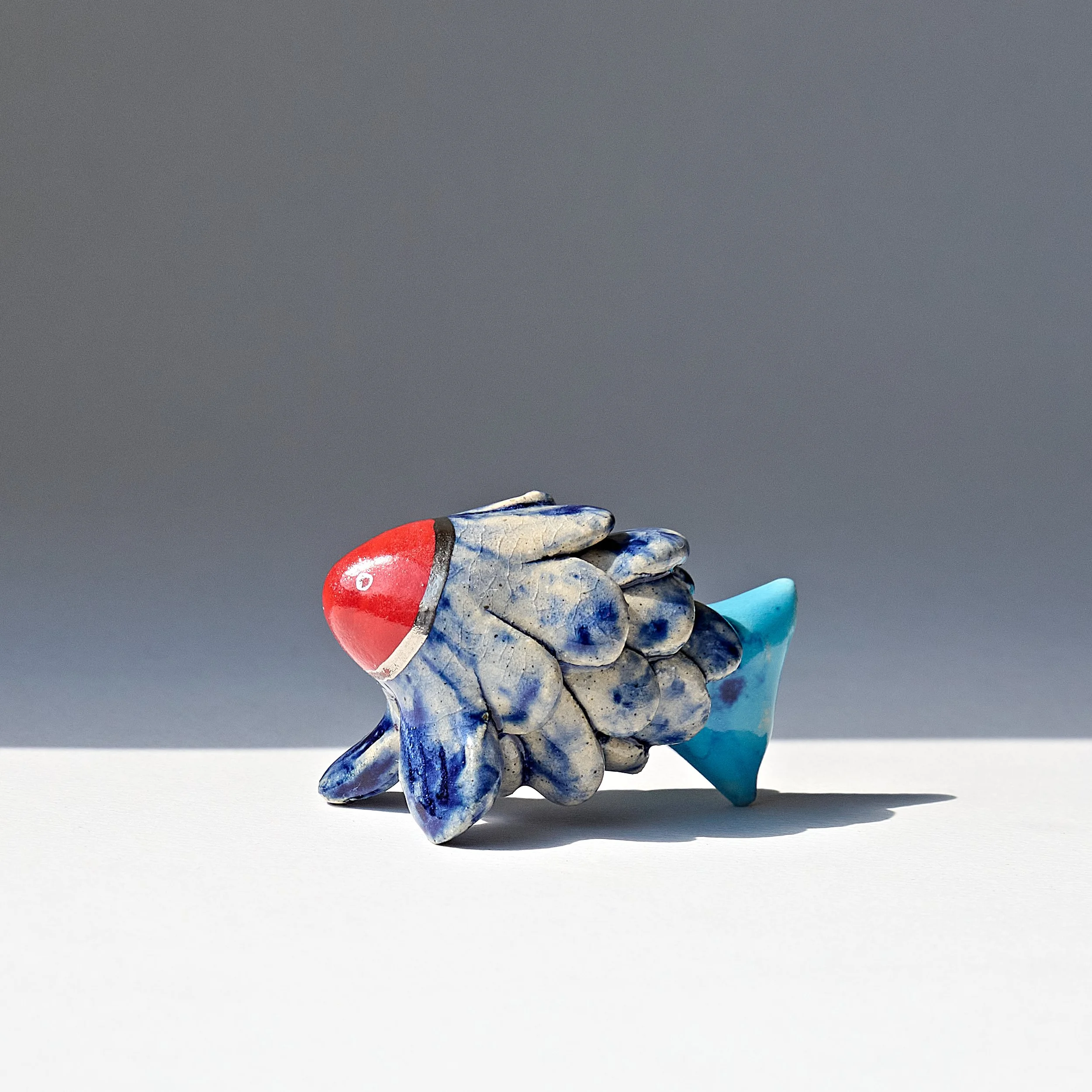 2026_clay0054betafish2.jpg