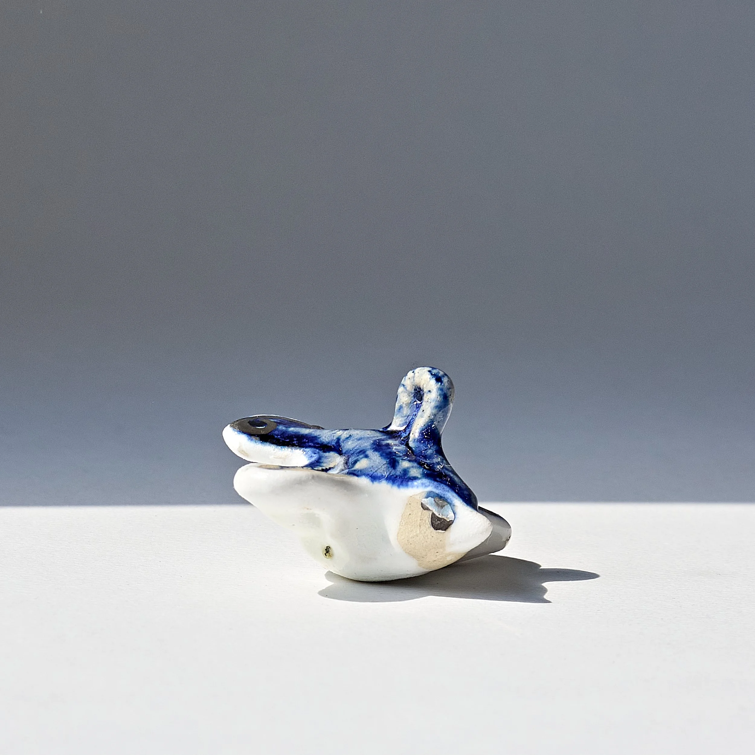 2026_clay0050bird1.jpg