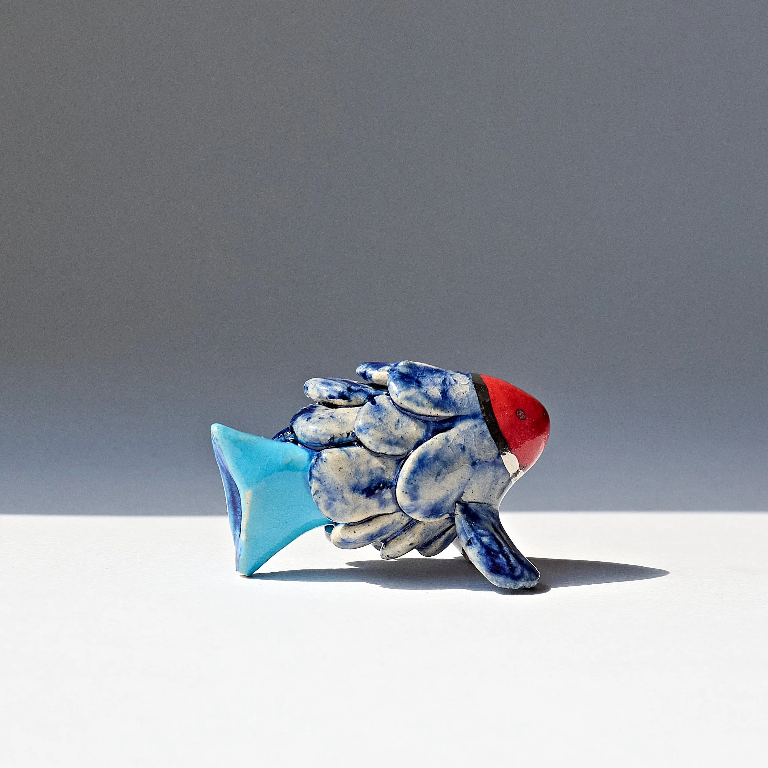 2026_clay0055betafish2.jpg