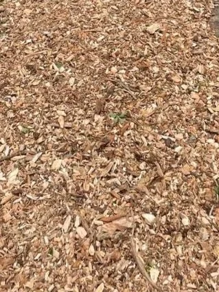 Playground Wood Chips