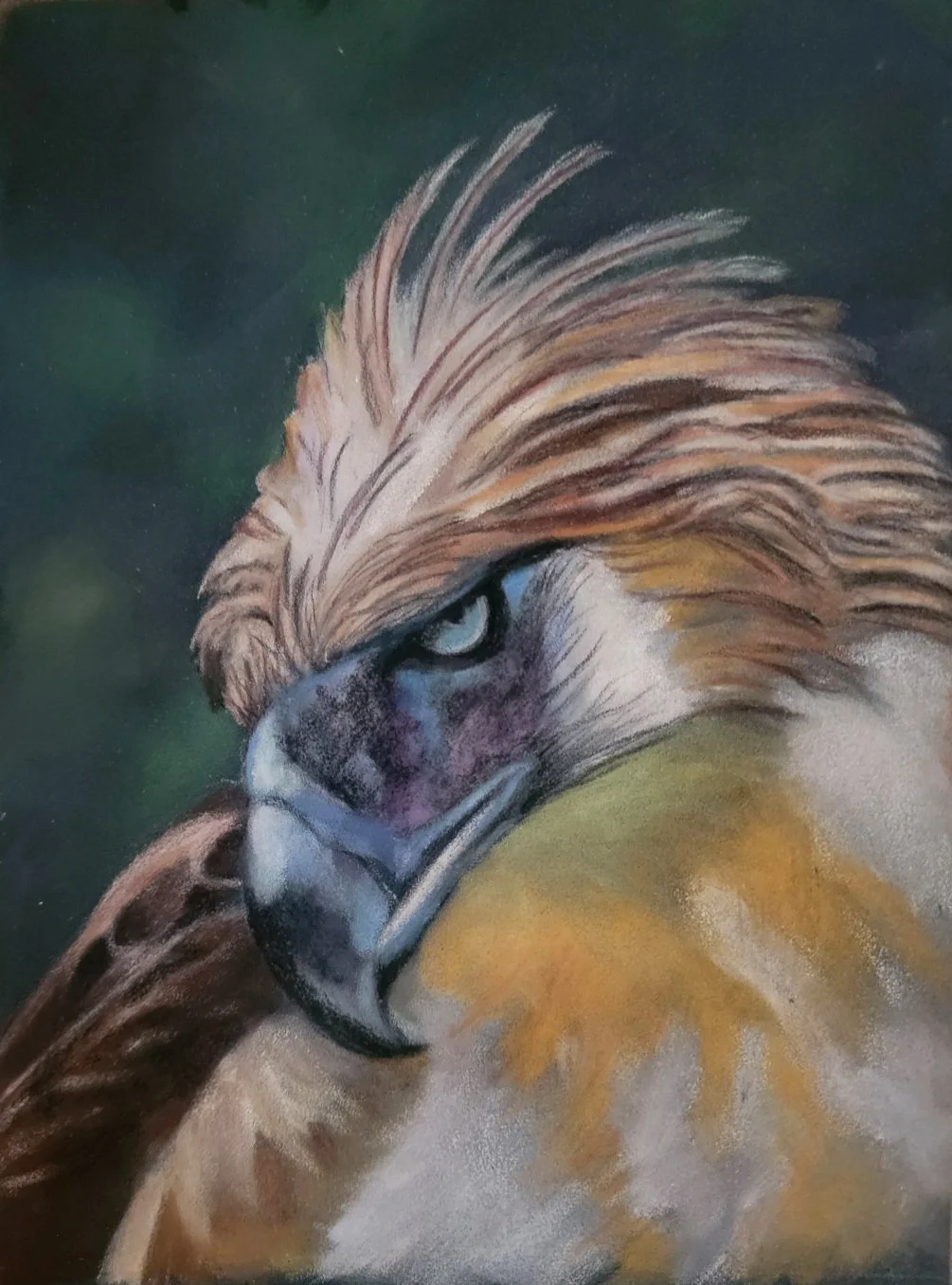 Eagle Eye