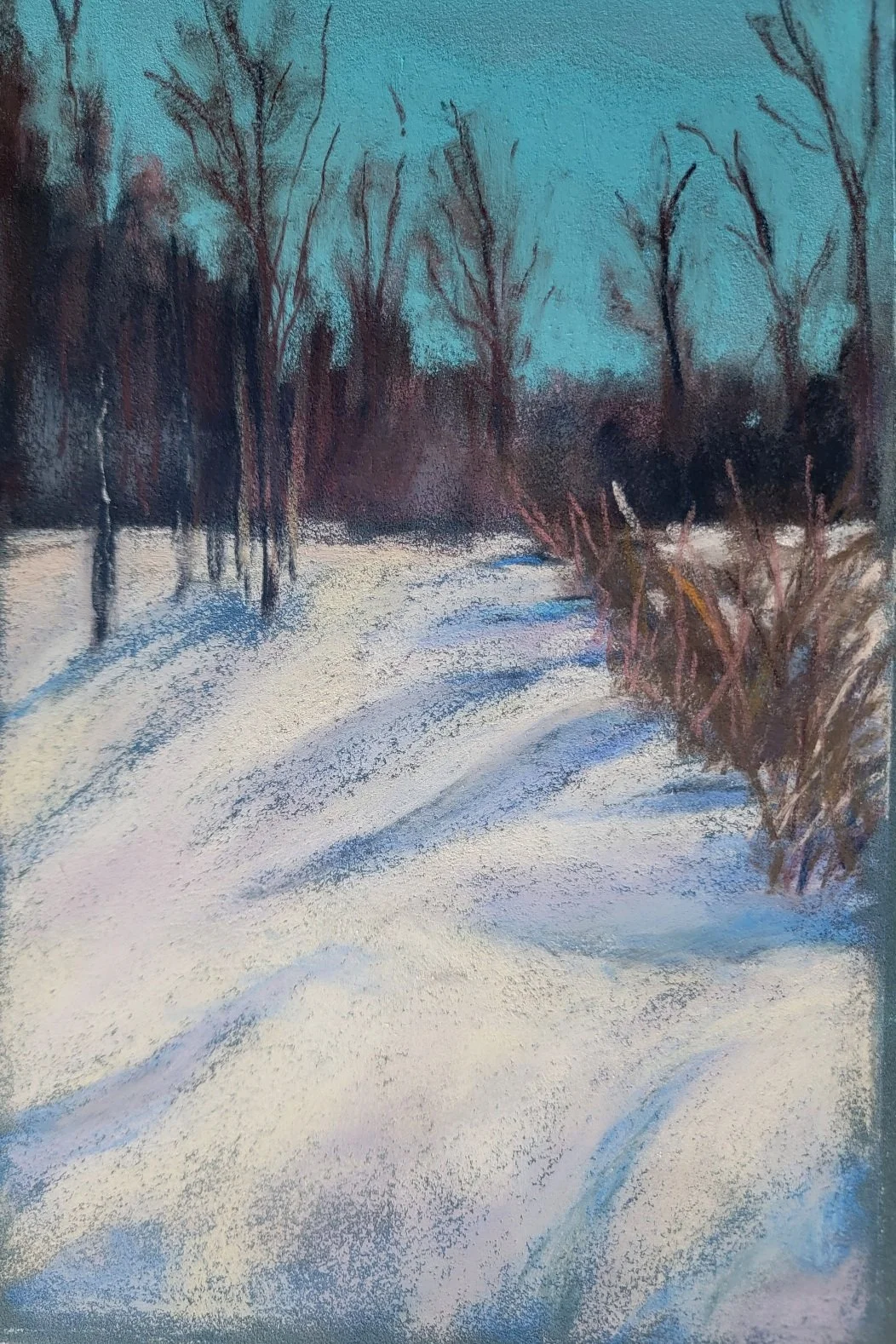 Snowy Meadow