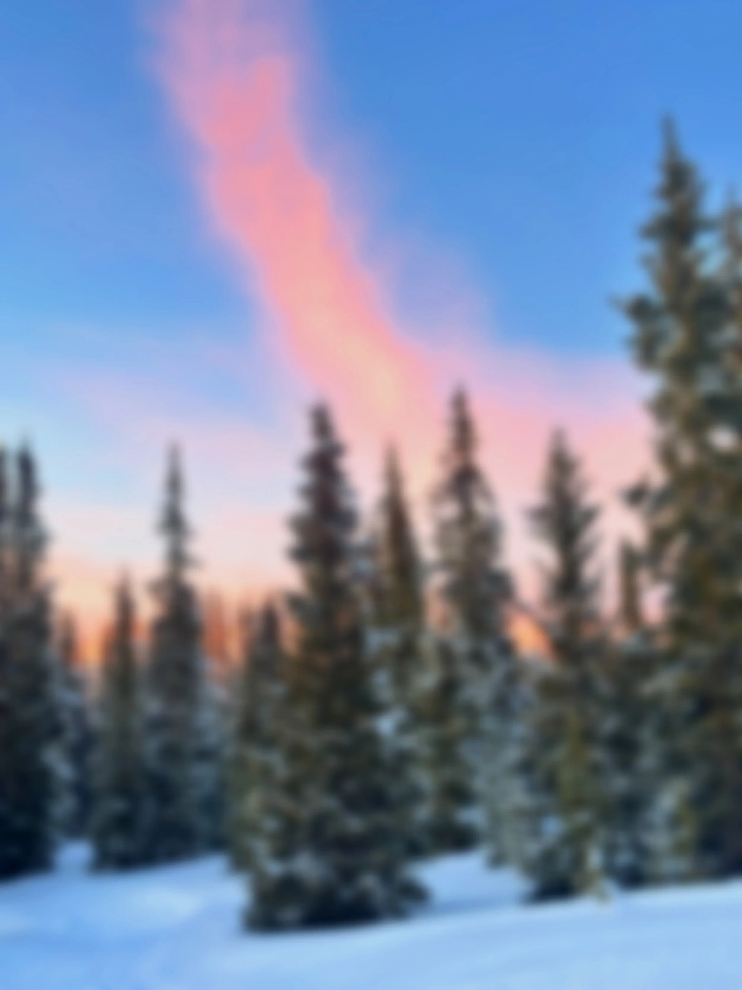 Blurry winter forest with snow-covered ground and pine trees under a colorful sky with pink and blue hues.